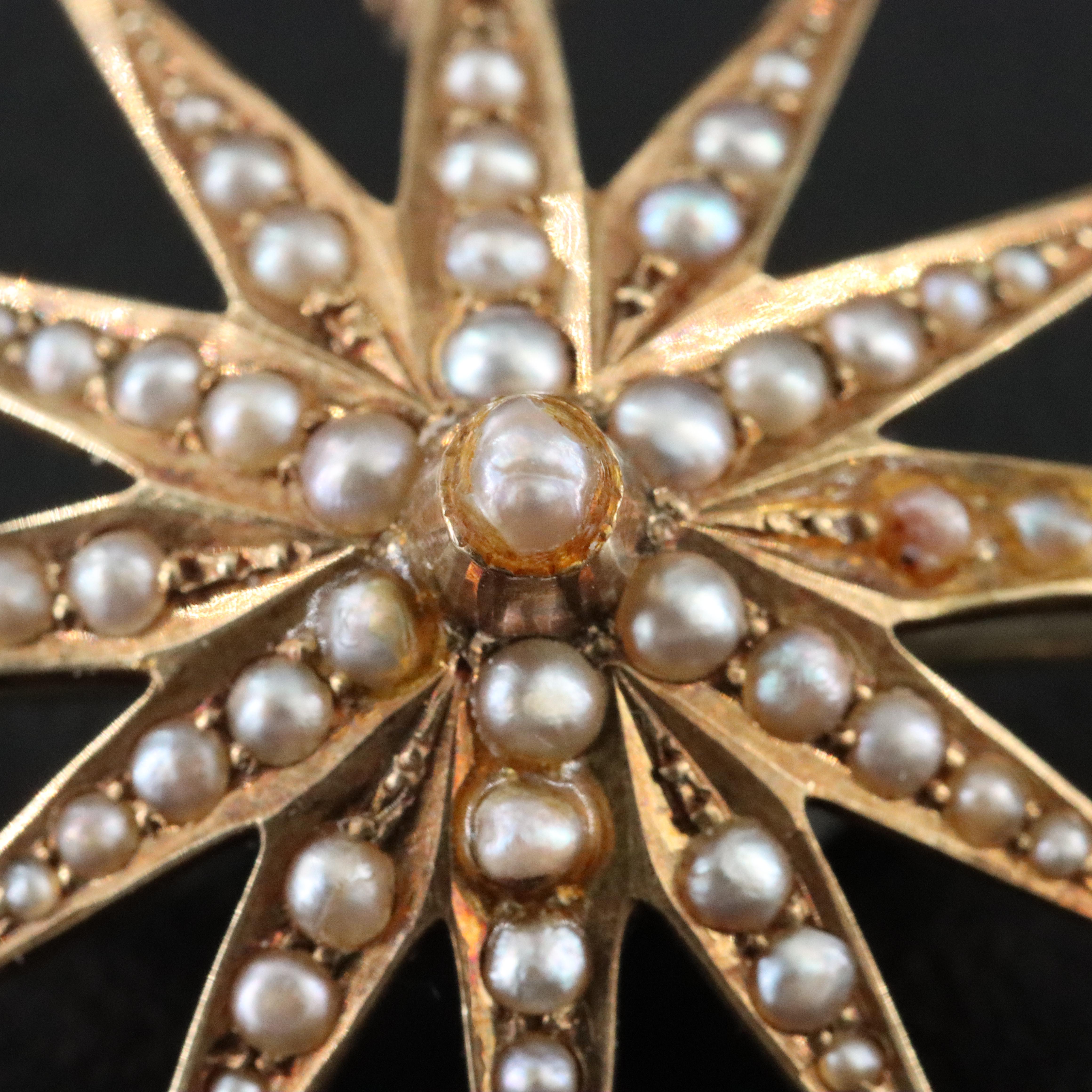 Antique 14K Seed Pearl Starburst Converter Brooch