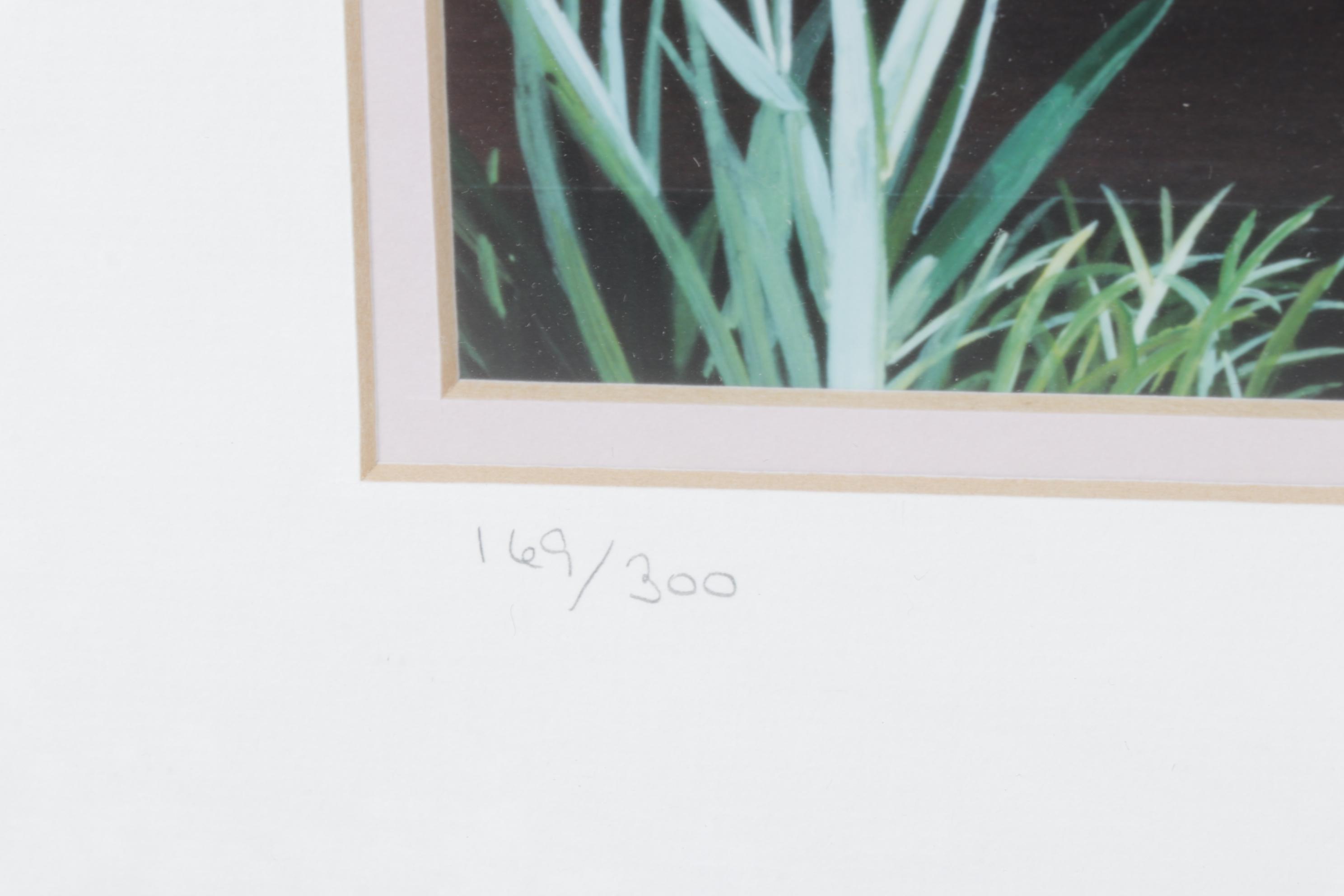 Bruce J. Peeso Giclée "Lemonade Porch", Late 20th Century