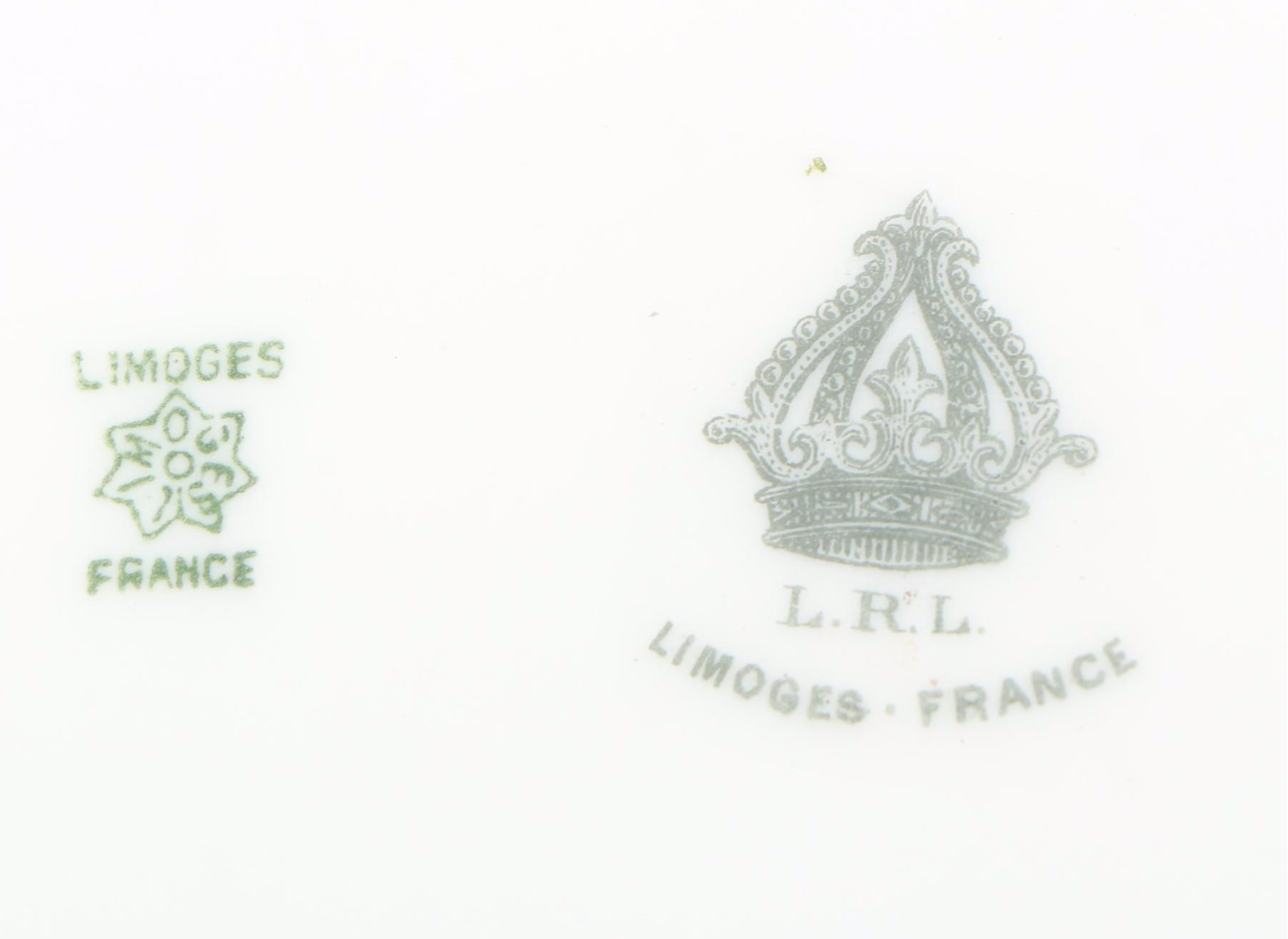 Art Nouveau Majolica Vase with Other Rose Pattern Porcelain Plates and Ewer