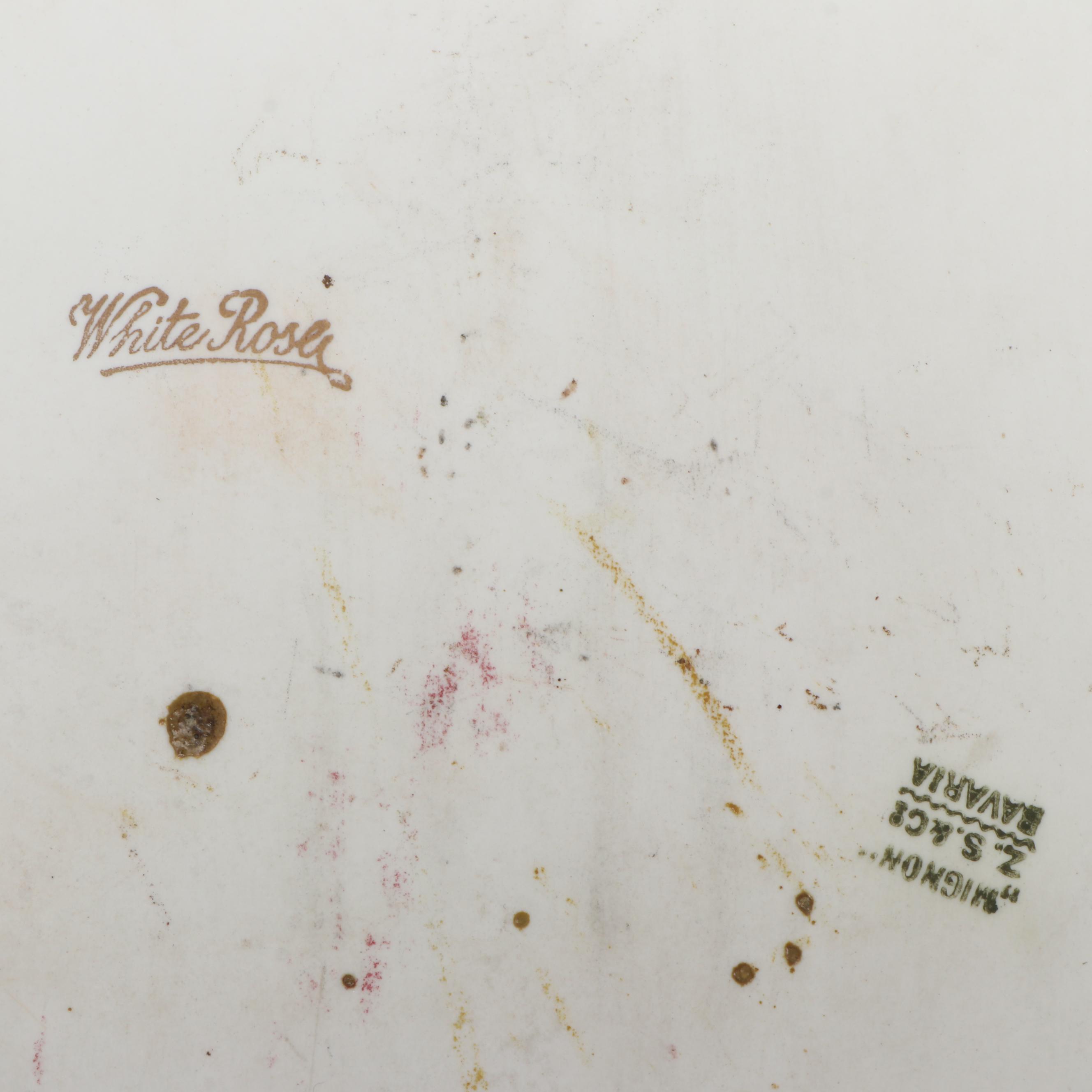 Art Nouveau Majolica Vase with Other Rose Pattern Porcelain Plates and Ewer