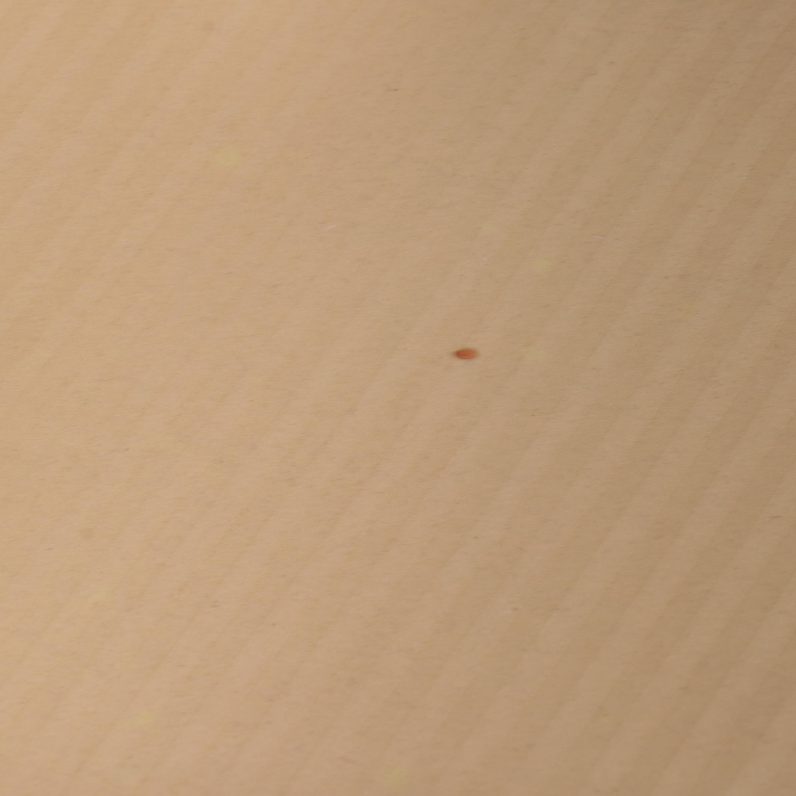 Hepplewhite Style Seven Piece Walnut Dining Set