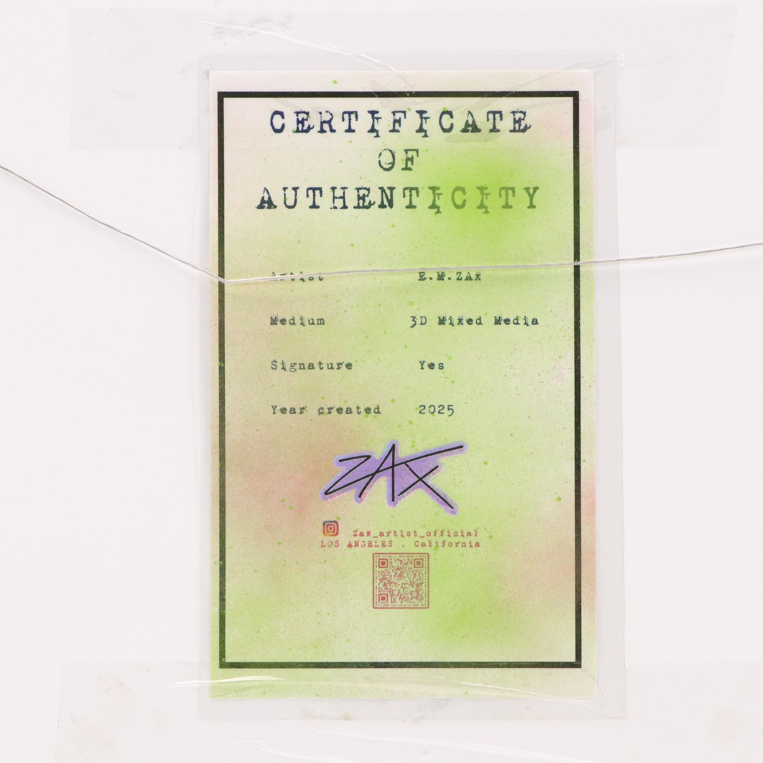 E.M. Zax Accordion Folded Mixed Media Digital Print of Currency, 2025