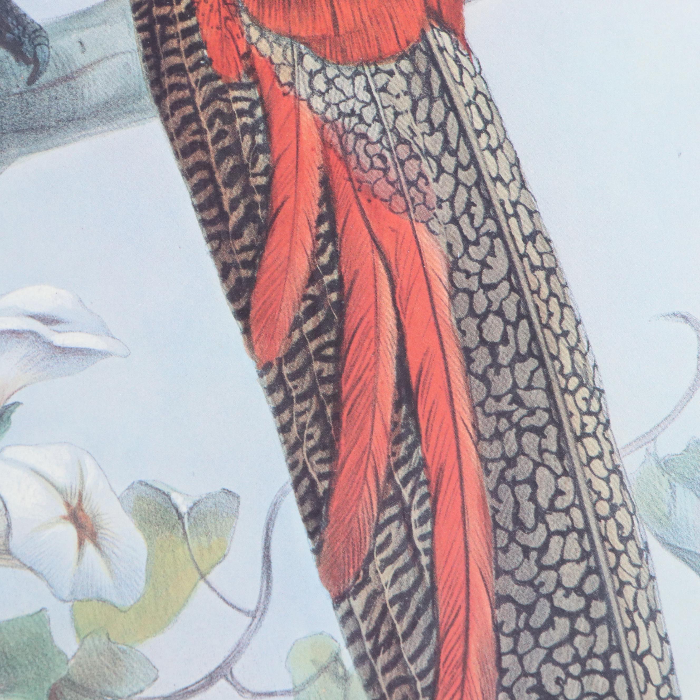 Offset Lithograph After Daniel Giraud Elliot "Hybrid Pheasant"