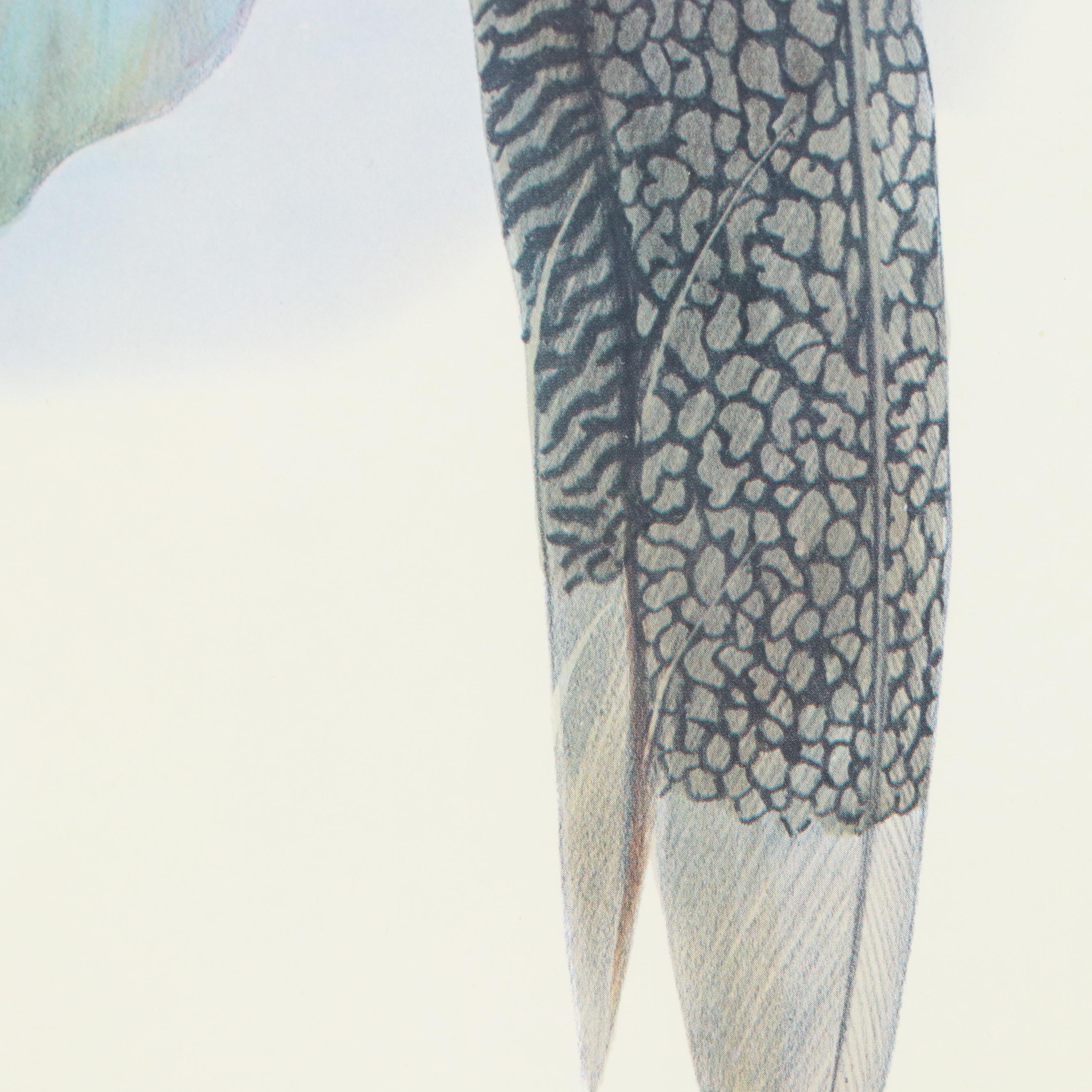 Offset Lithograph After Daniel Giraud Elliot "Hybrid Pheasant"