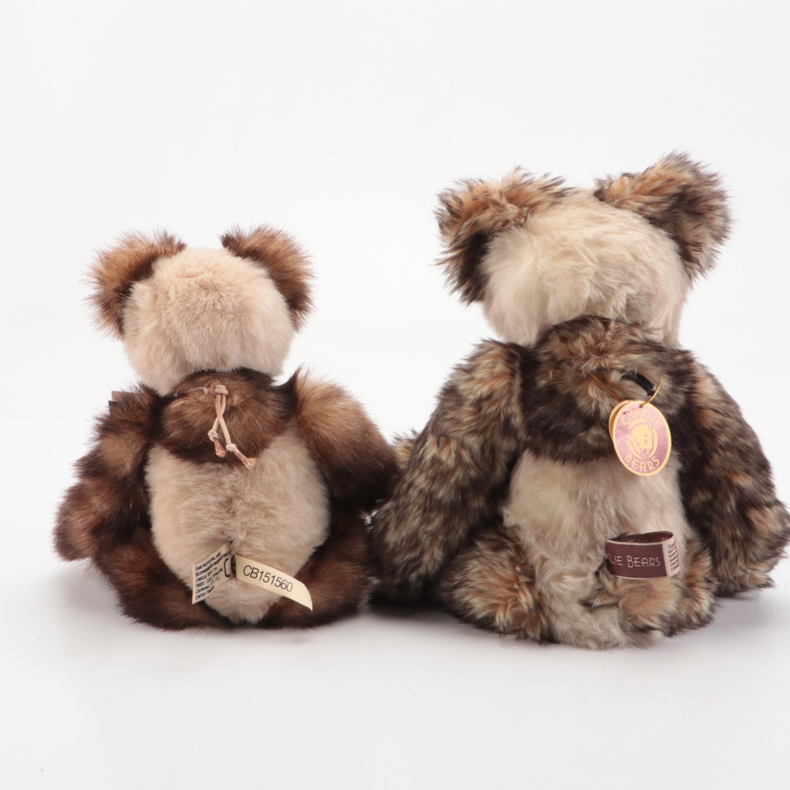 Charlie Bears "Blizzard," "Anniversary Diesel," and More Teddy Bears