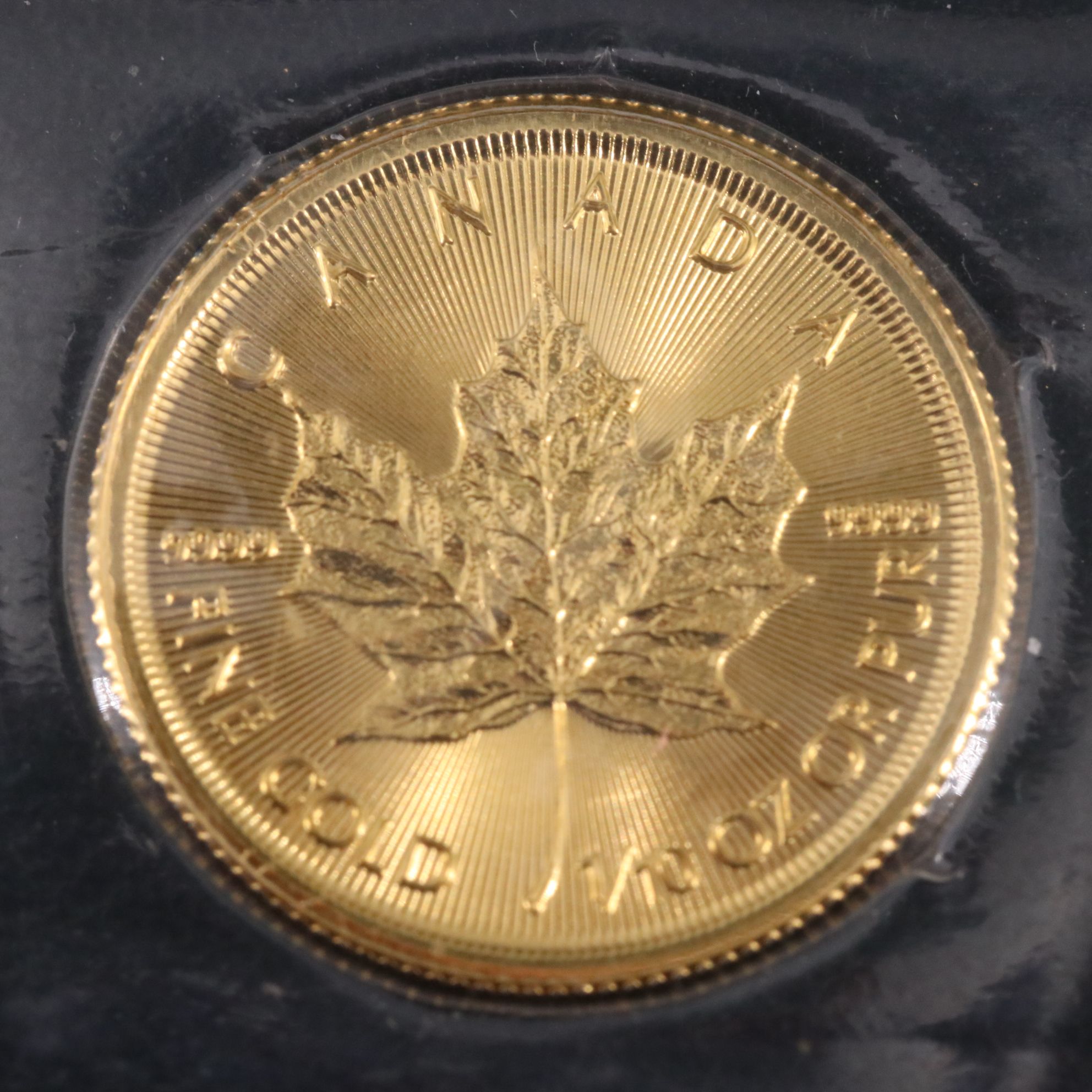 2019 Canada $5 Gold Maple Leaf Coin