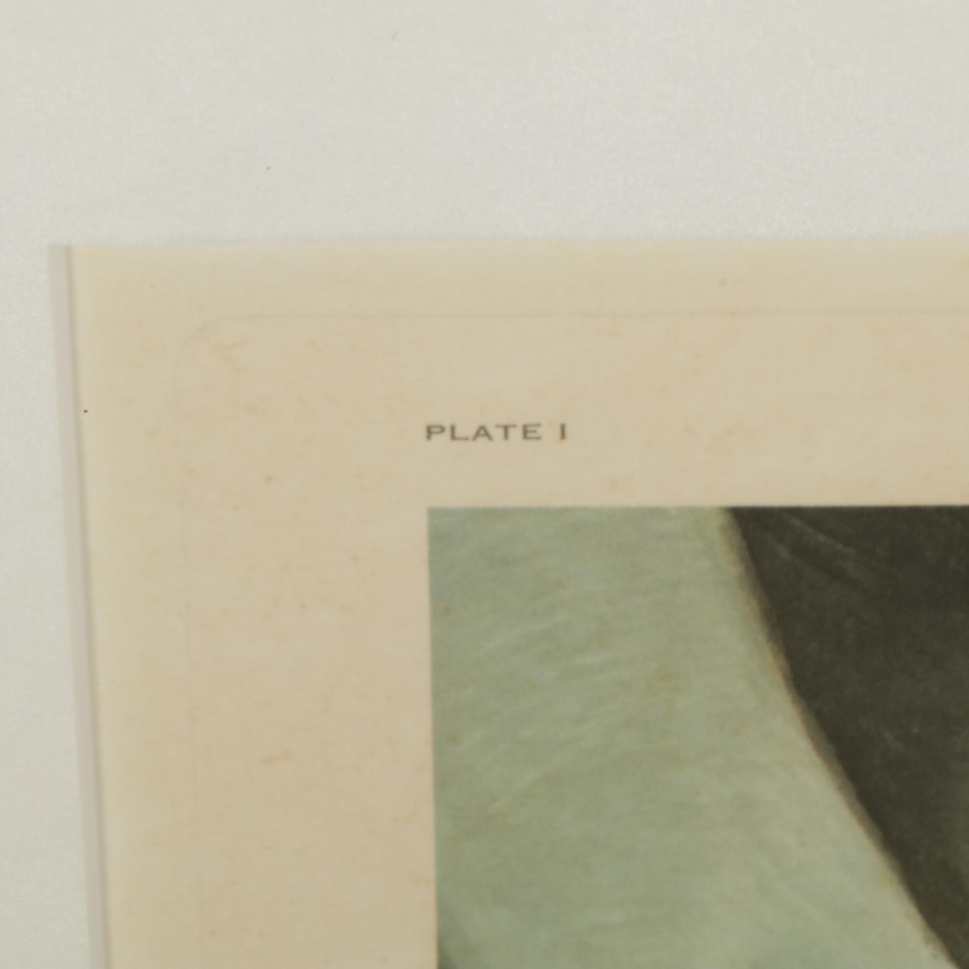 John Ruthven Songbird Series: "Cardinals" Offset Lithograph, 1970