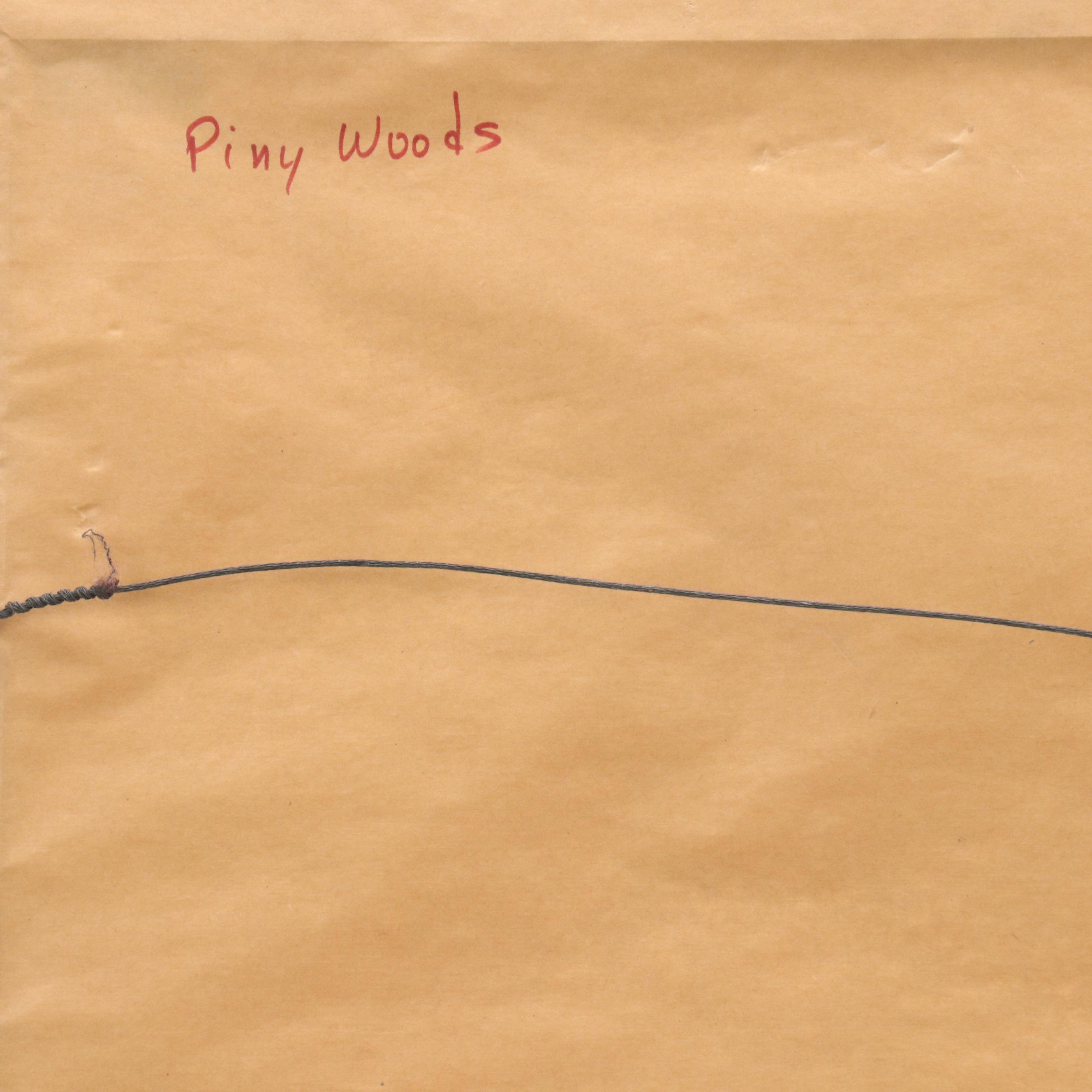 Marianna McDonald Pastel Landscape Drawing "Piney Woods," 1986