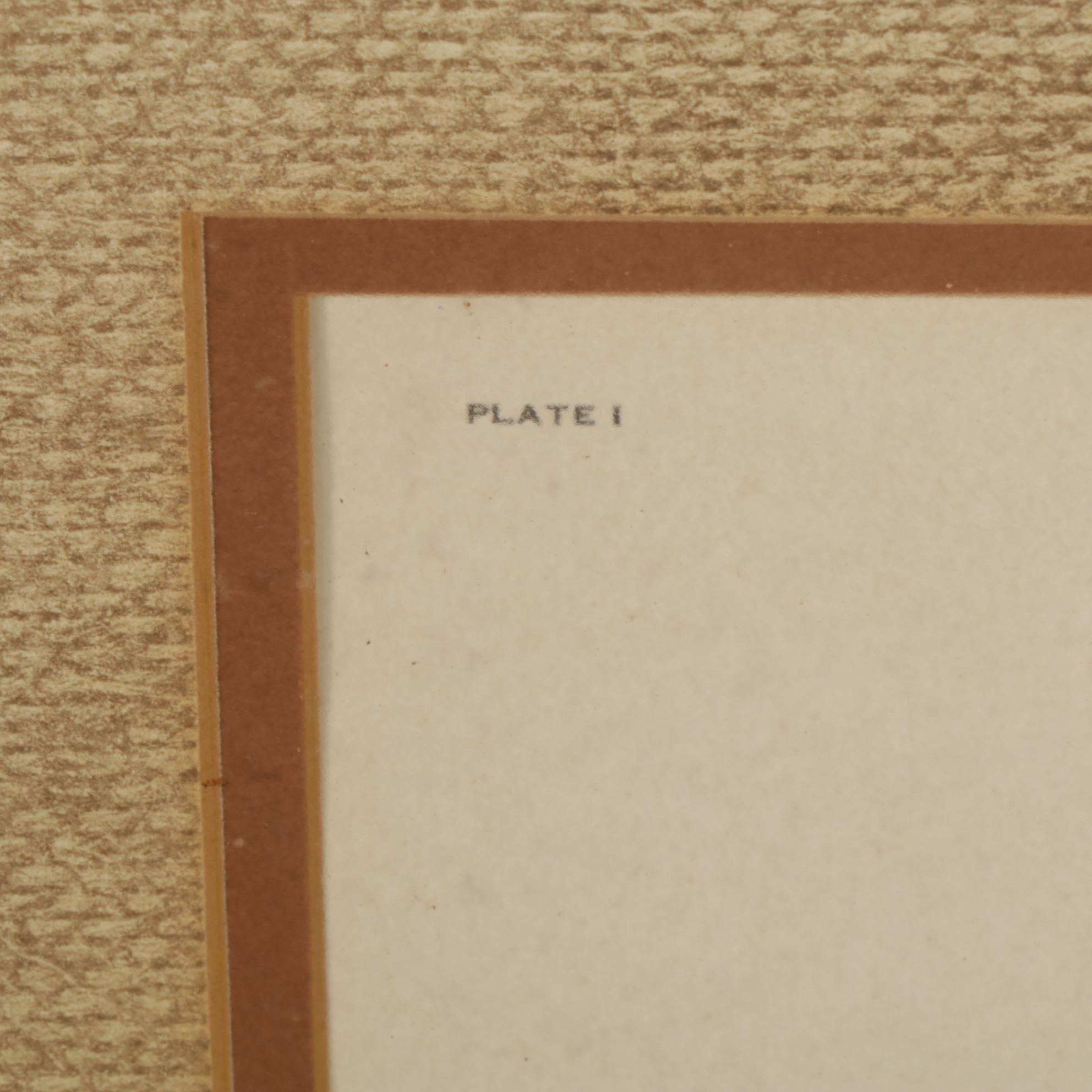 John Ruthven The Sporting Dog Series: "Dusty" Offset Lithograph, 1979