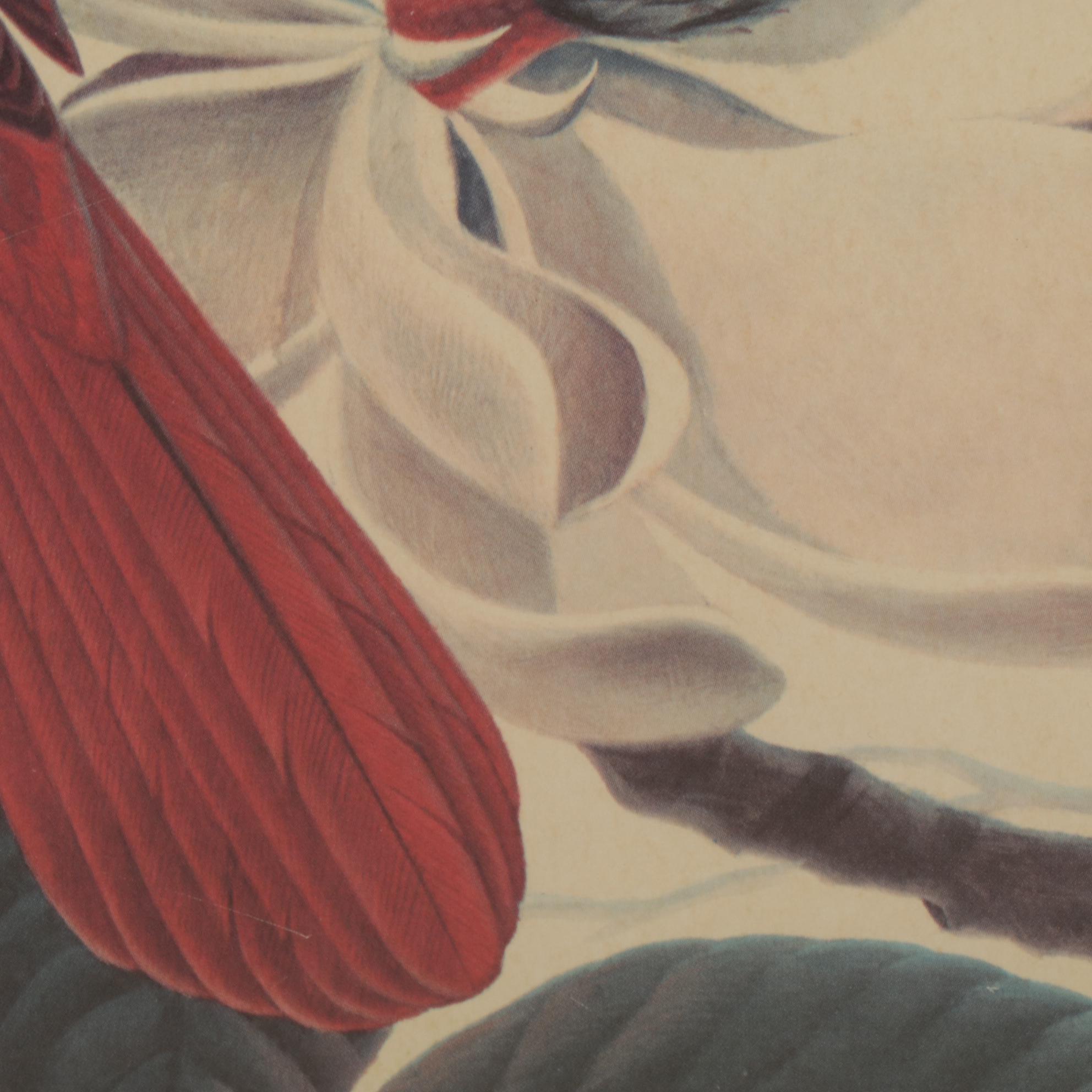 John Ruthven Williamsburg Series: "Cardinals" Offset Lithograph, 1970