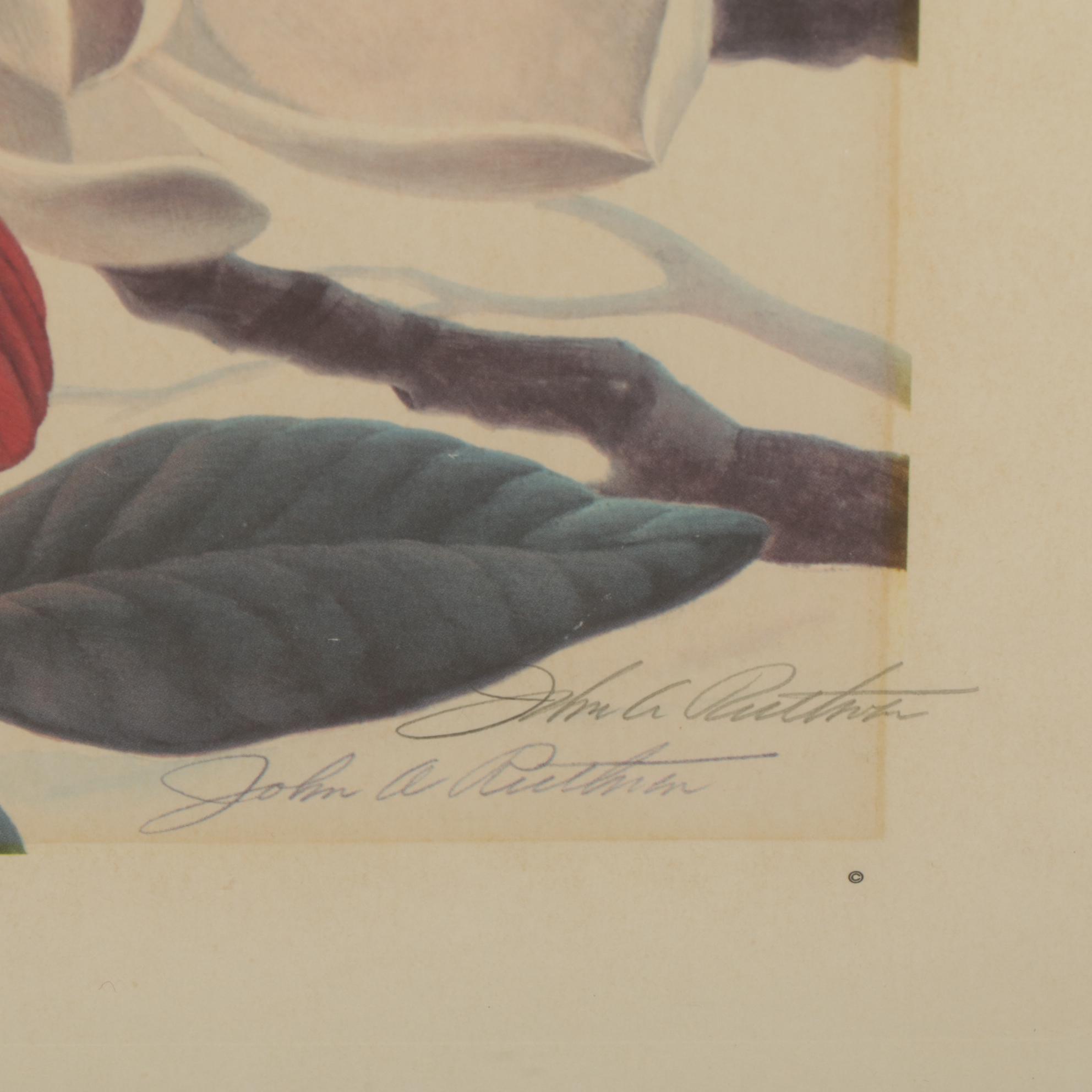 John Ruthven Williamsburg Series: "Cardinals" Offset Lithograph, 1970