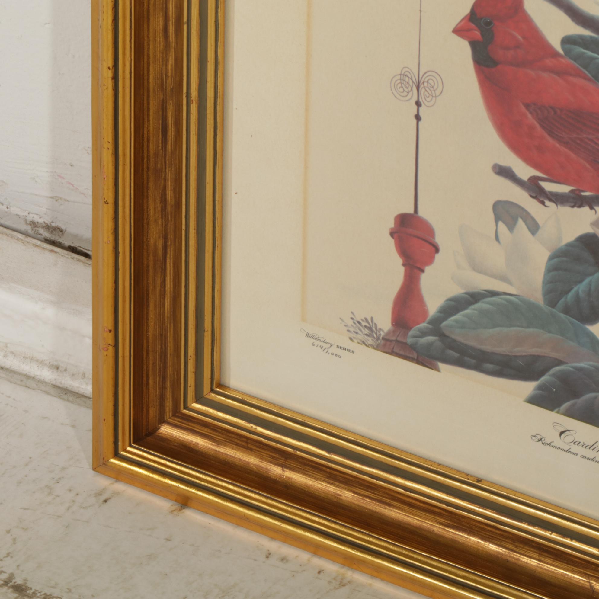 John Ruthven Williamsburg Series: "Cardinals" Offset Lithograph, 1970