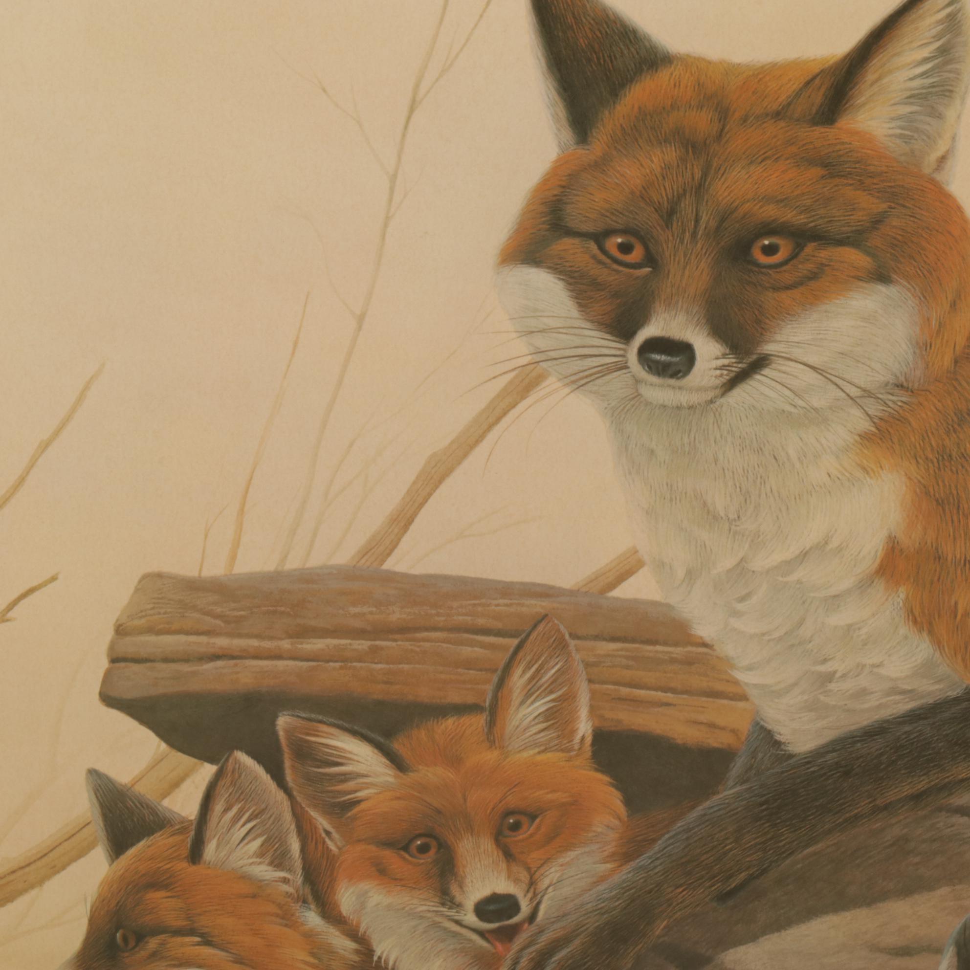 John Ruthven North American Series: "Red Foxes"  Offset Lithograph, 1971