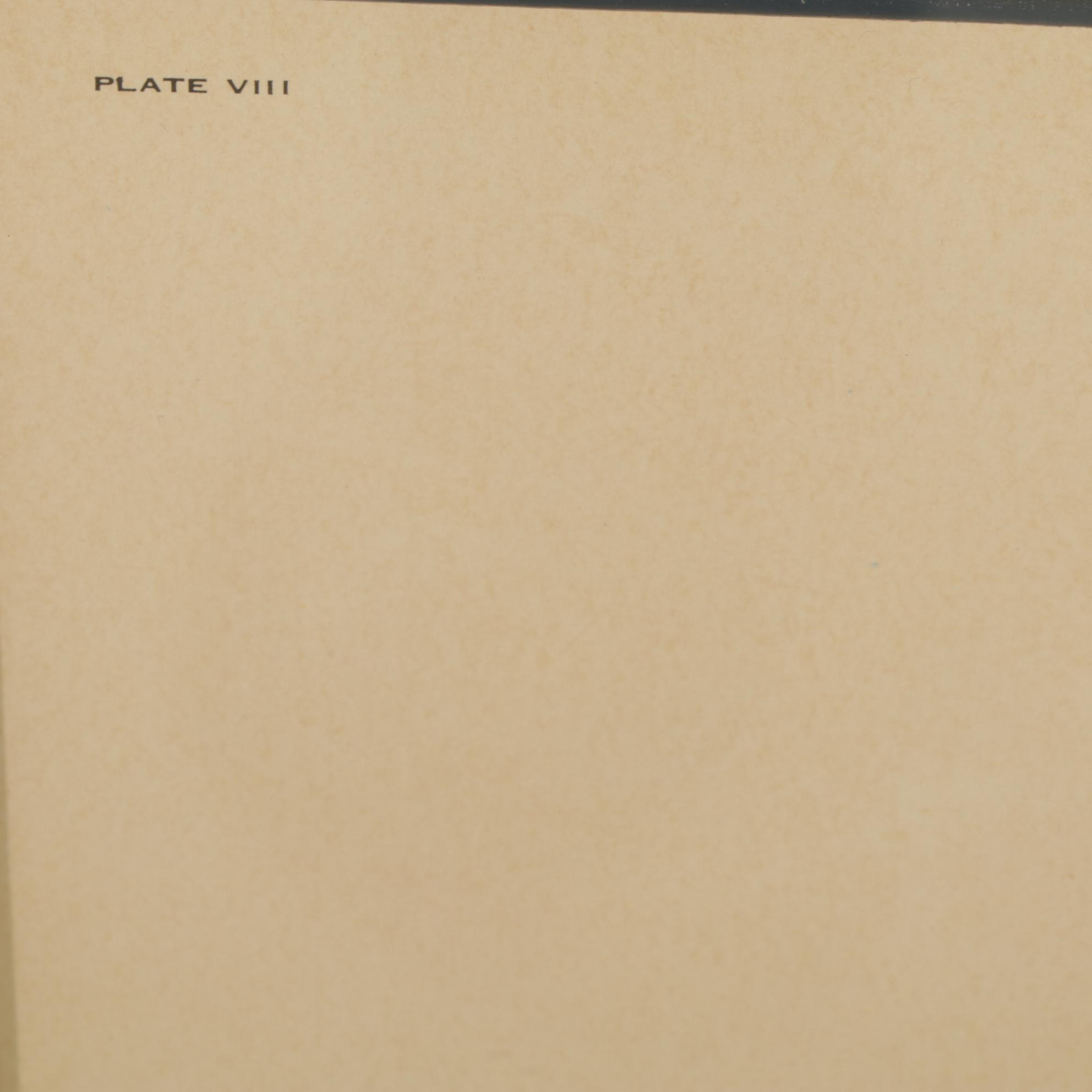 John Ruthven North American Series: "Red Foxes"  Offset Lithograph, 1971