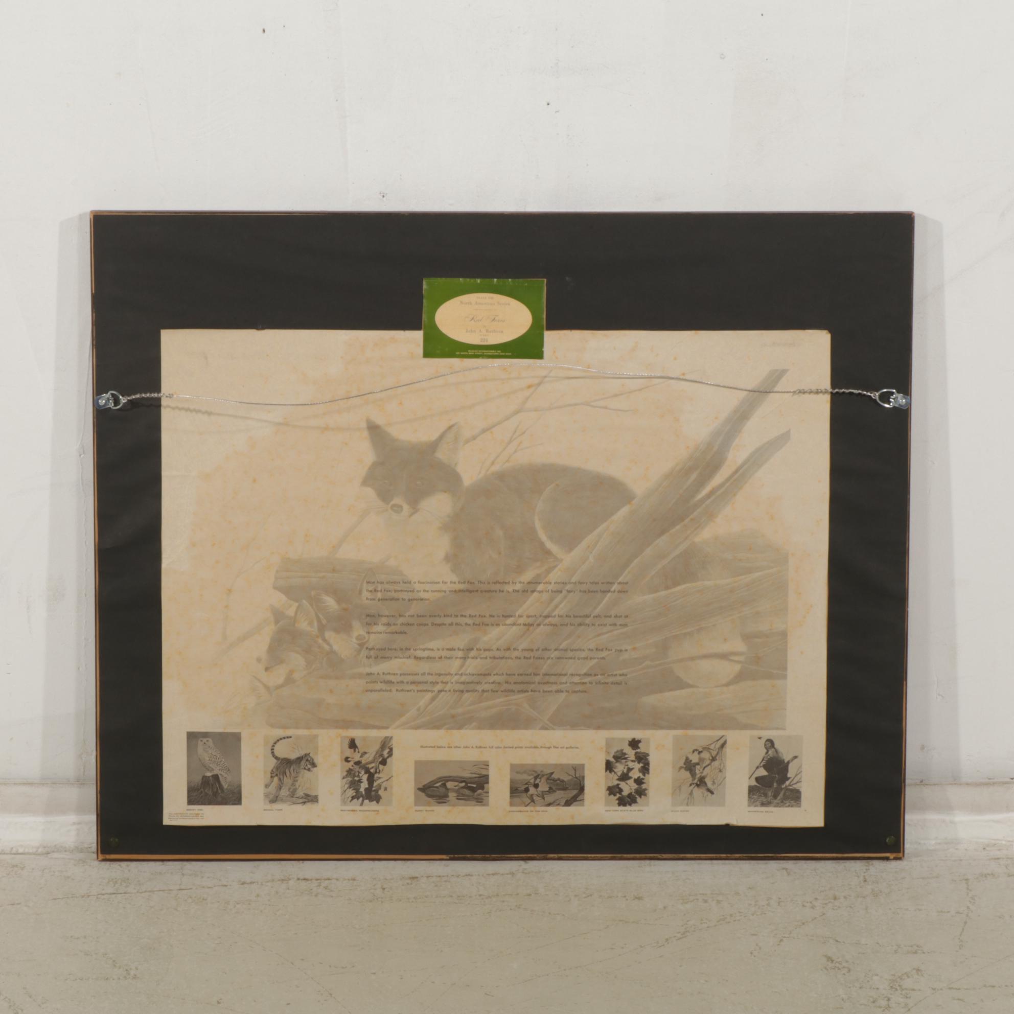 John Ruthven North American Series: "Red Foxes"  Offset Lithograph, 1971