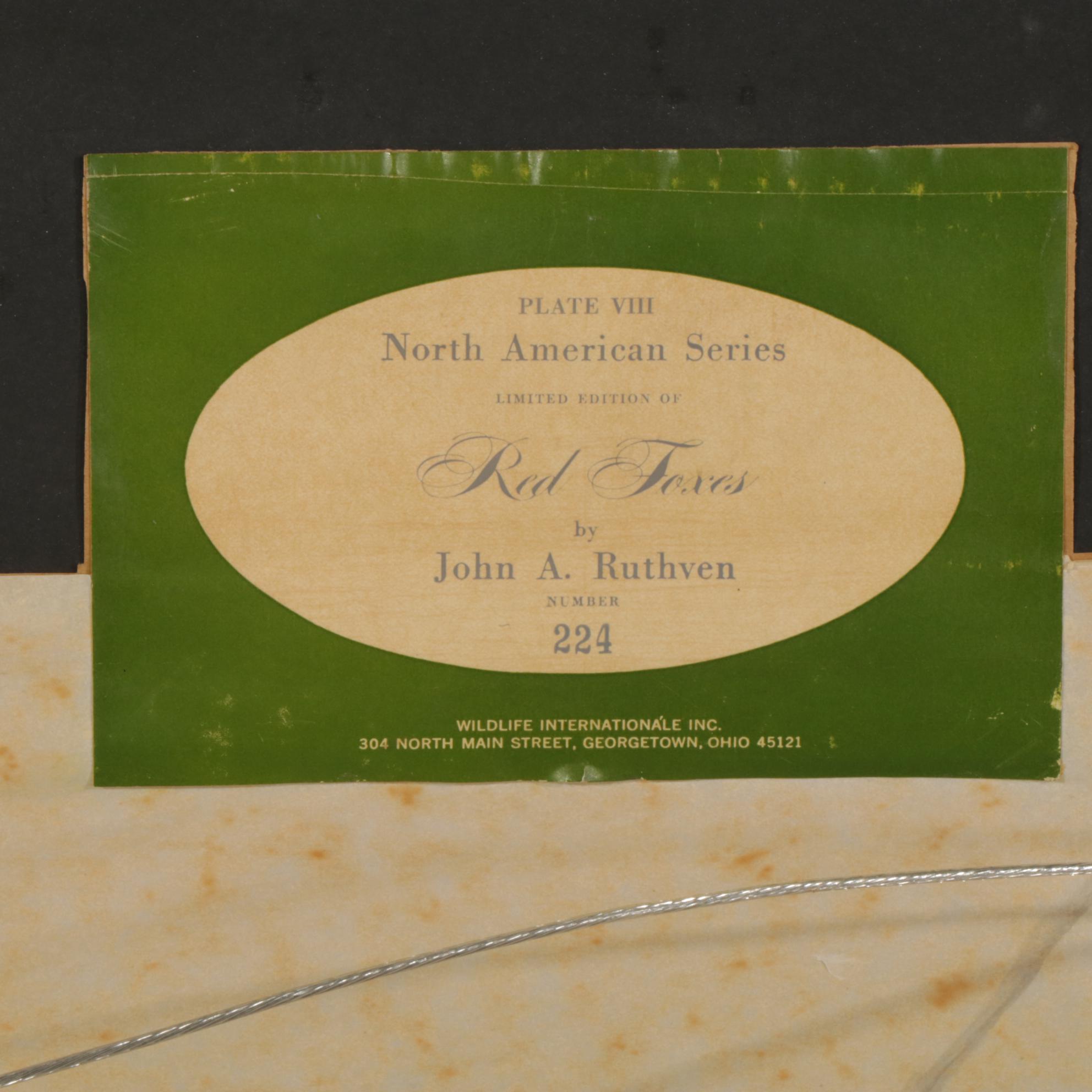 John Ruthven North American Series: "Red Foxes"  Offset Lithograph, 1971