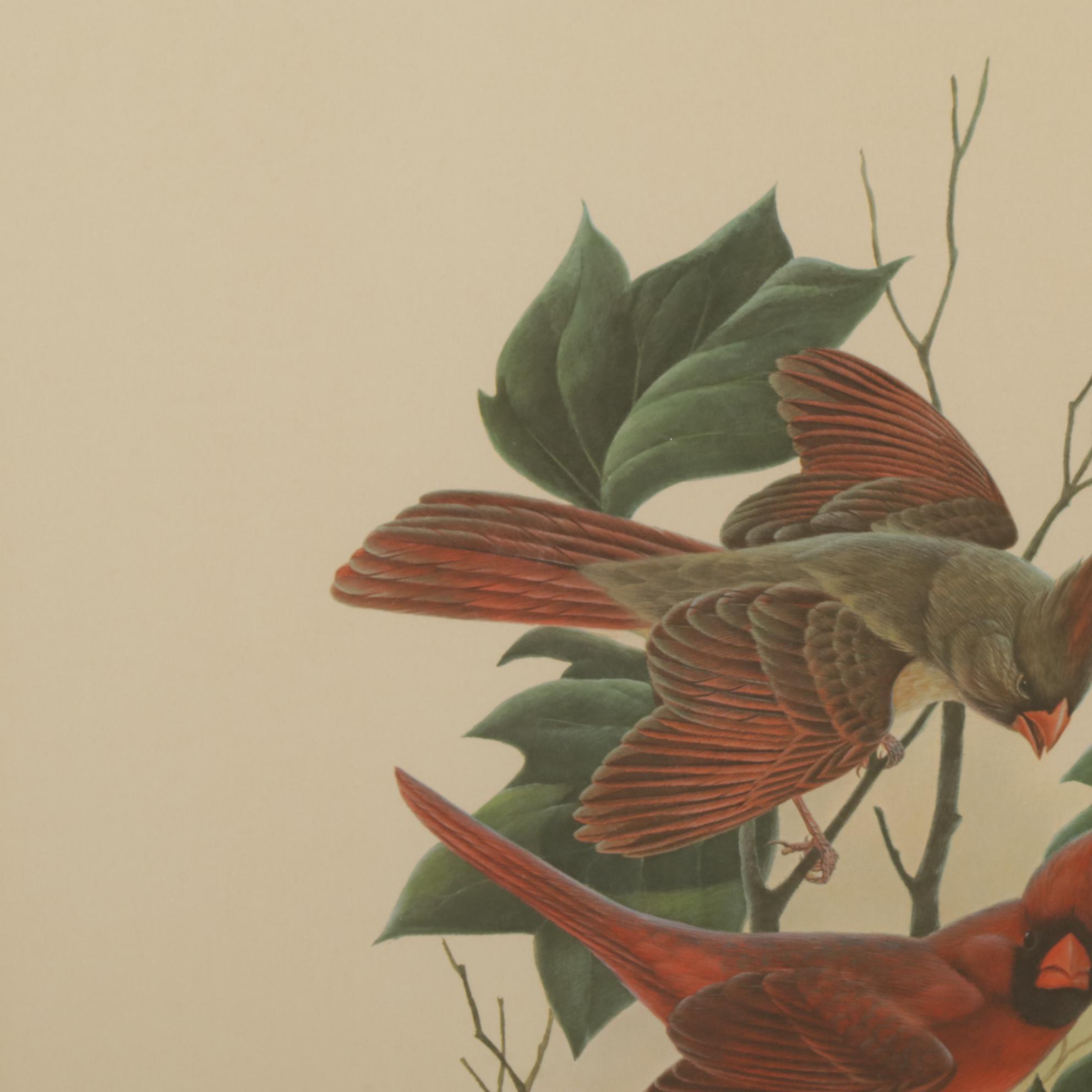 John Ruthven "The Cincinnati Nature Center Cardinals" Offset Lithograph, 1970