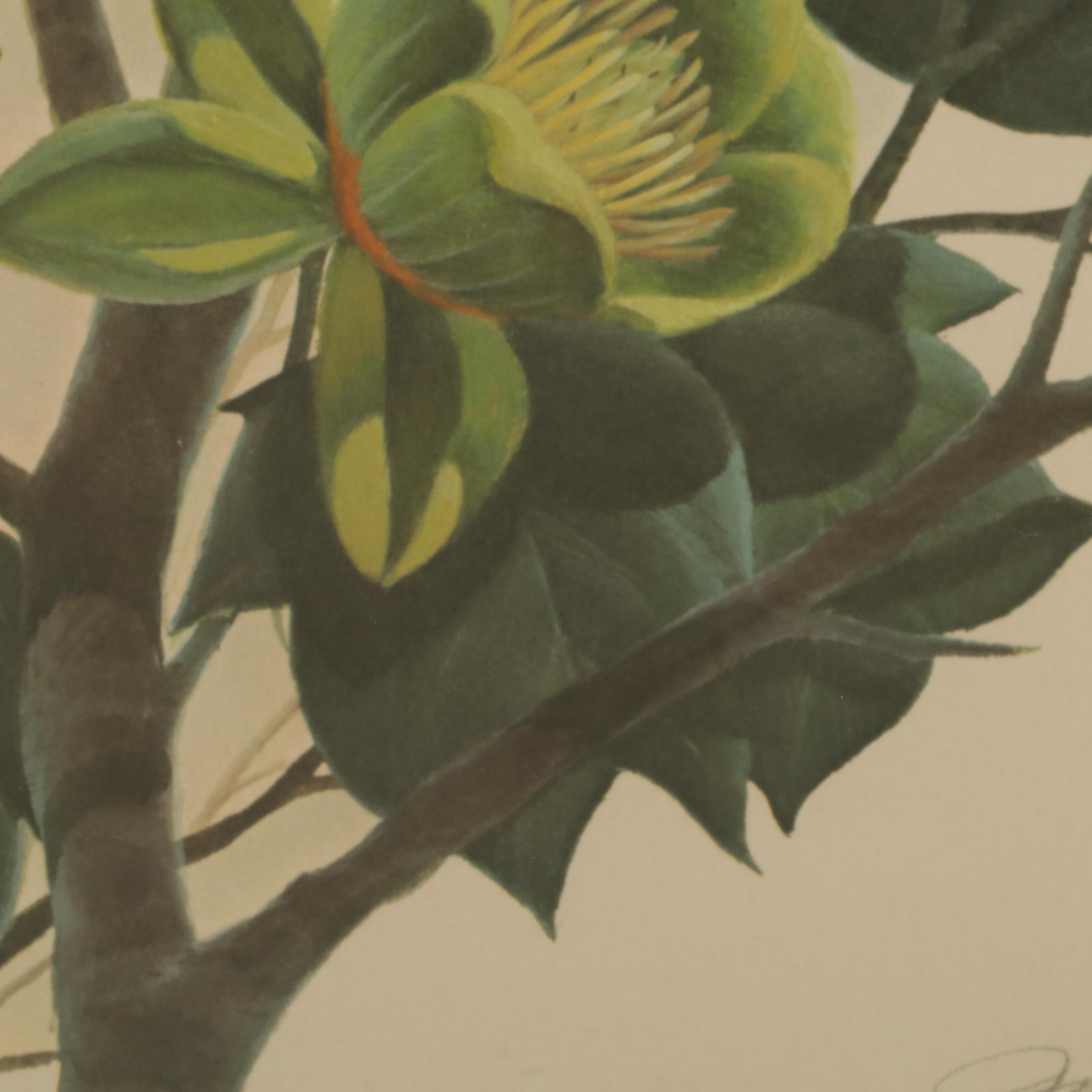 John Ruthven "The Cincinnati Nature Center Cardinals" Offset Lithograph, 1970