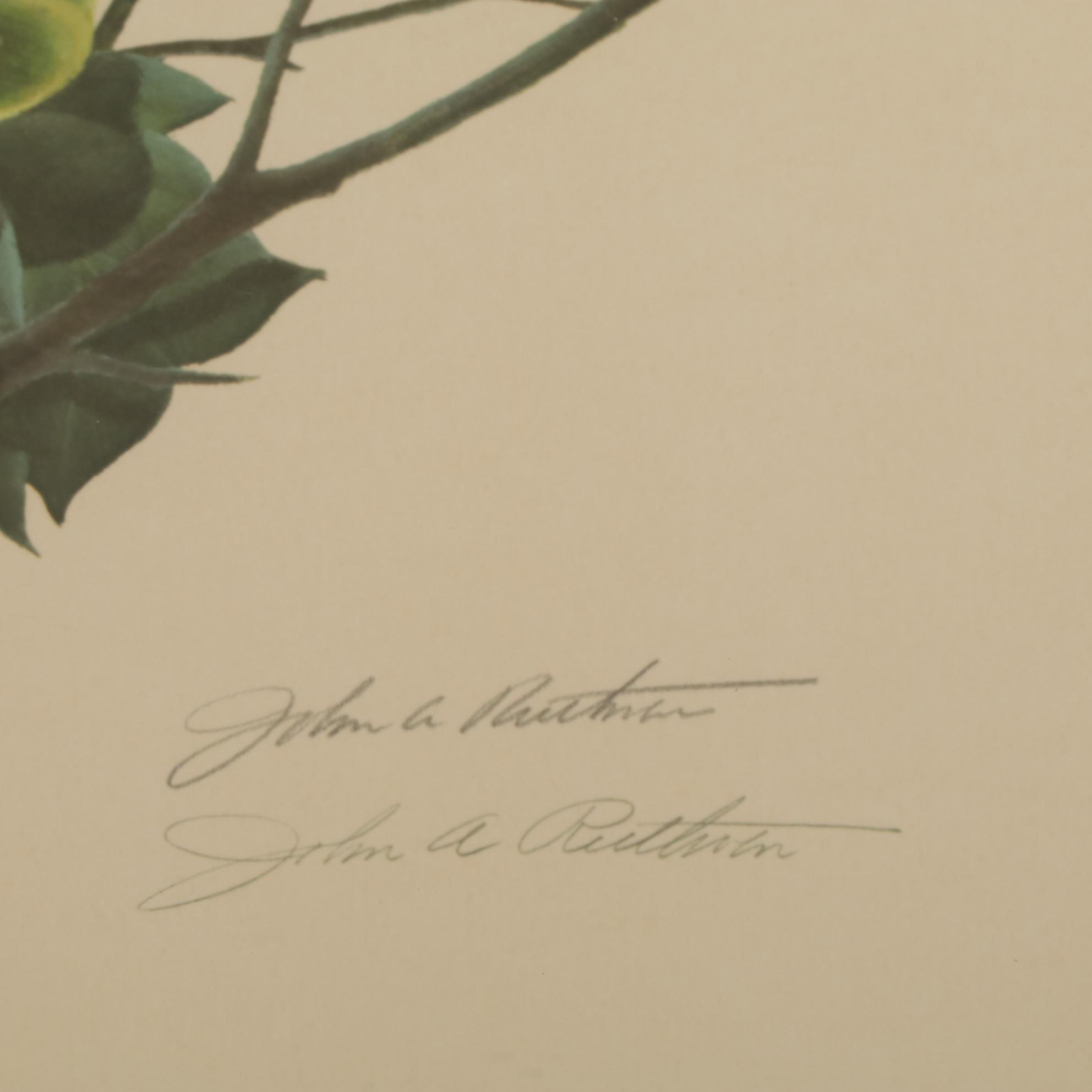 John Ruthven "The Cincinnati Nature Center Cardinals" Offset Lithograph, 1970