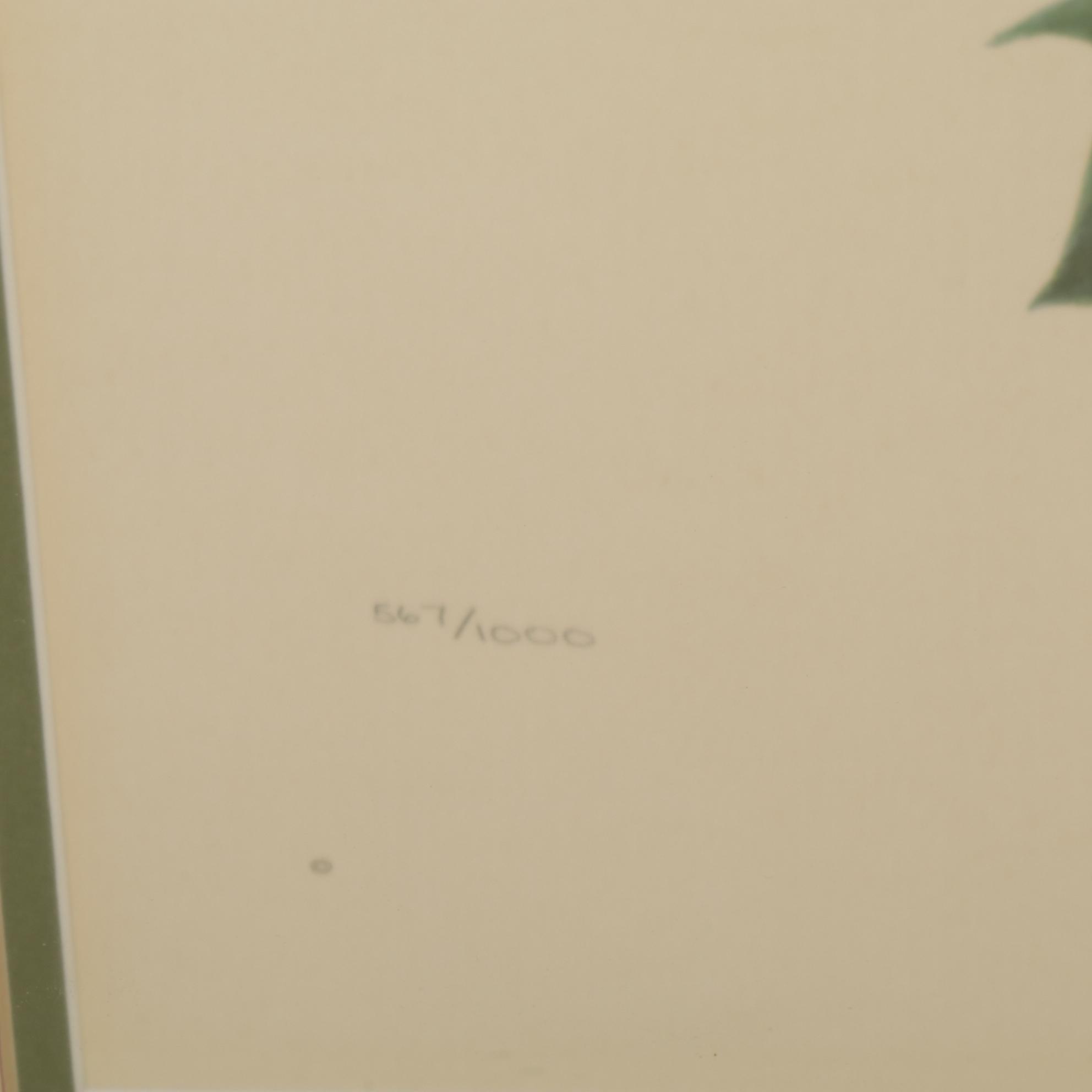 John Ruthven "The Cincinnati Nature Center Cardinals" Offset Lithograph, 1970