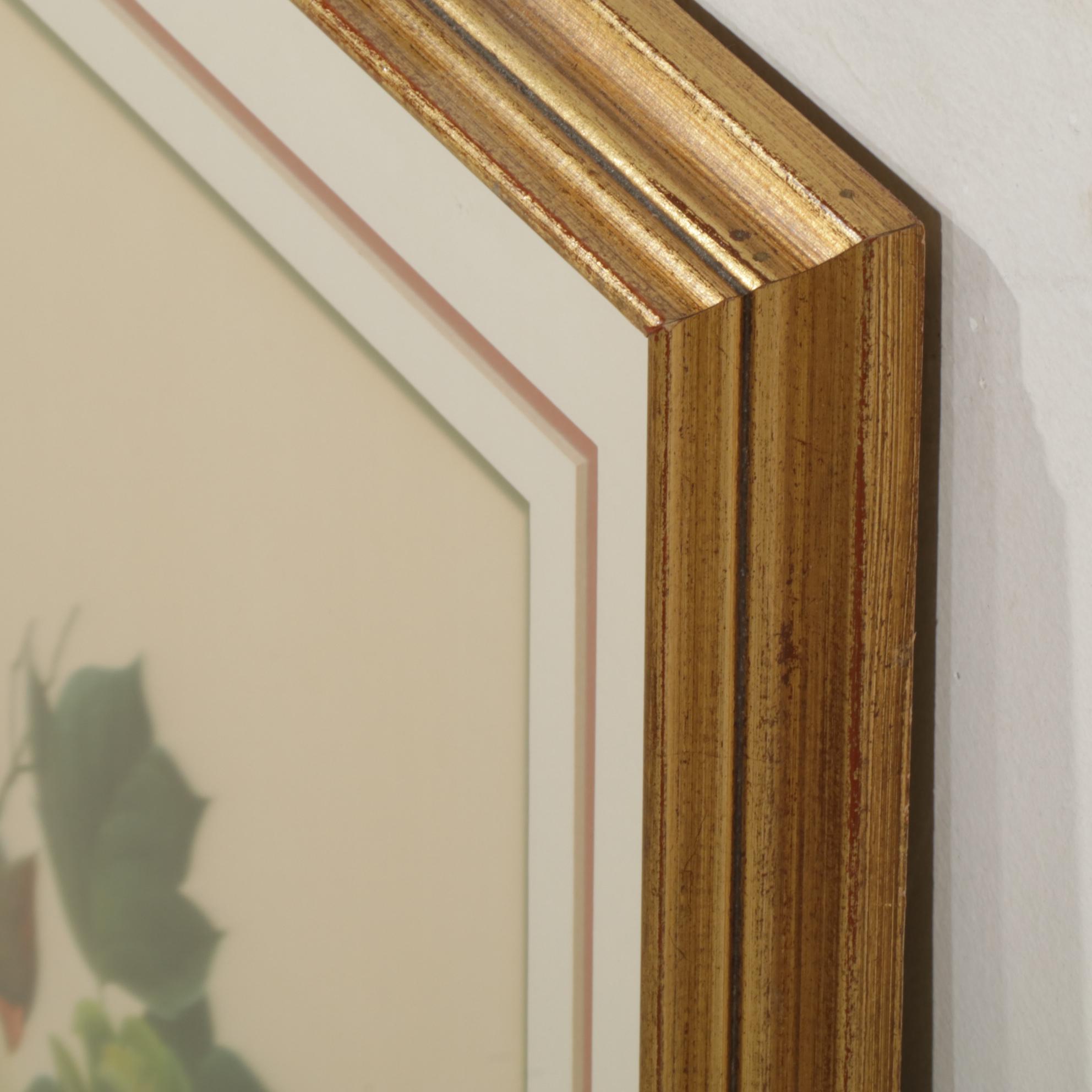 John Ruthven "The Cincinnati Nature Center Cardinals" Offset Lithograph, 1970