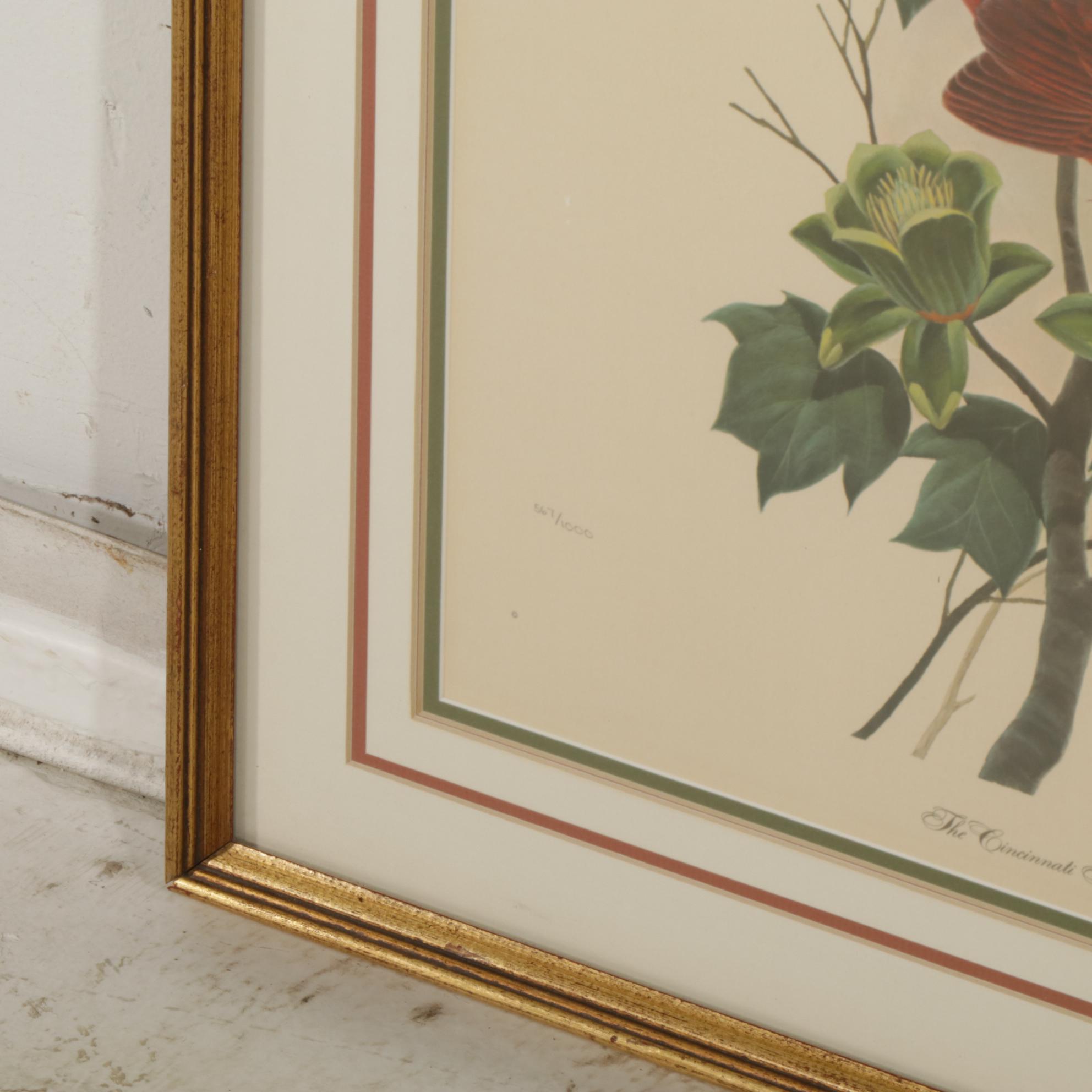 John Ruthven "The Cincinnati Nature Center Cardinals" Offset Lithograph, 1970