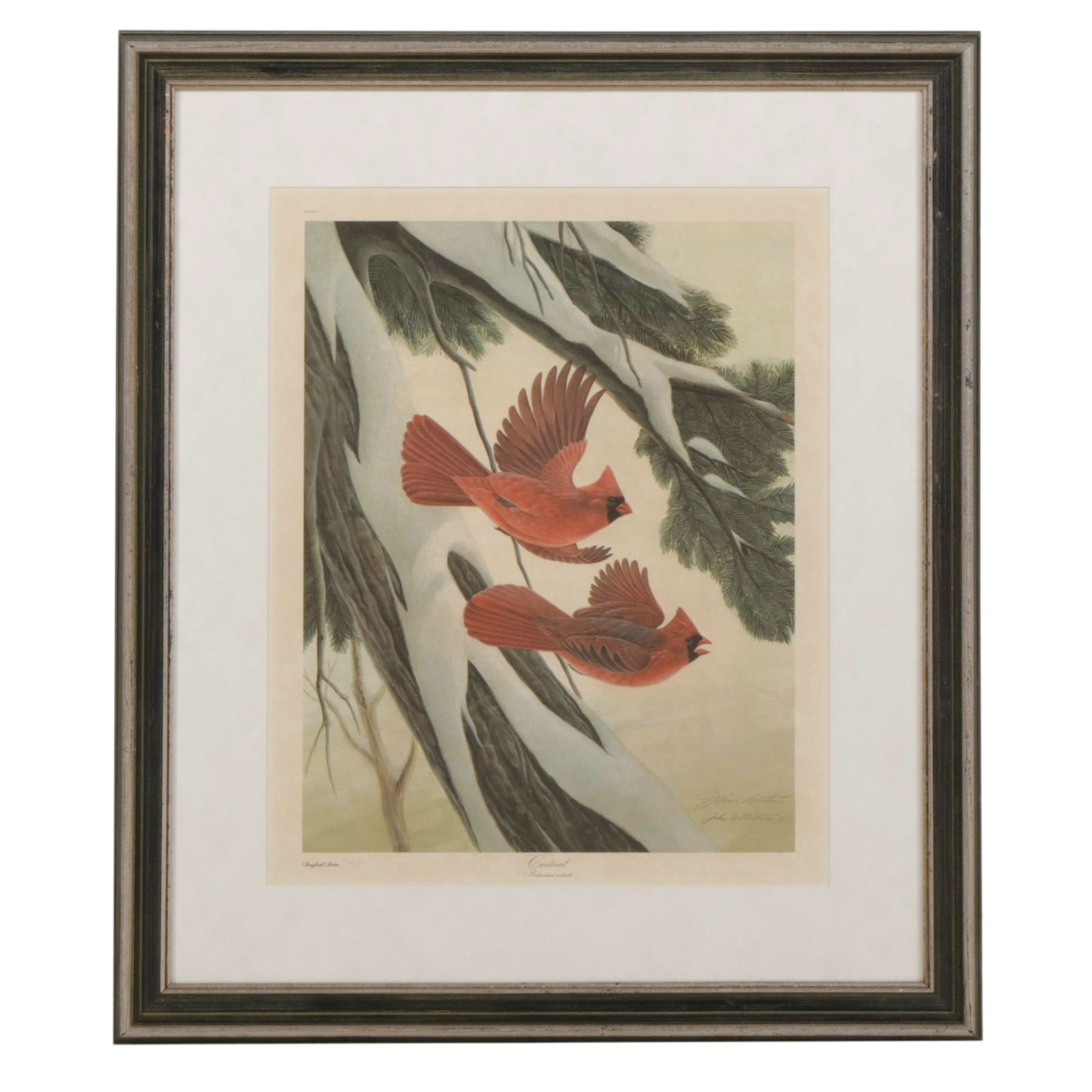 John Ruthven Songbird Series: "Cardinals" Offset Lithograph, 1970