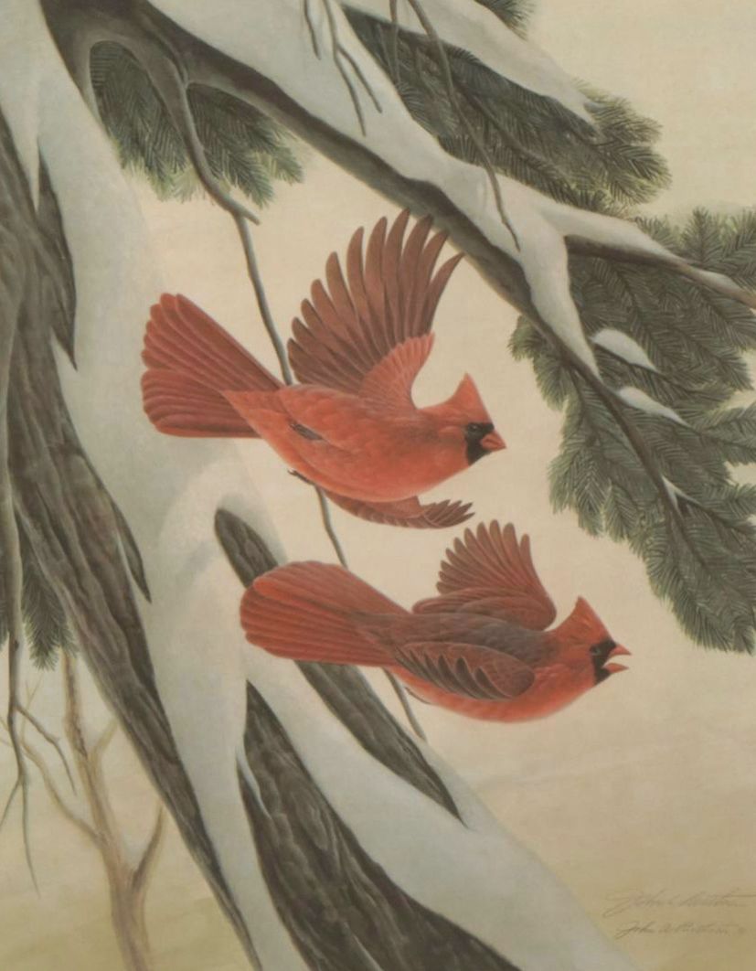 John Ruthven Songbird Series: "Cardinals" Offset Lithograph, 1970