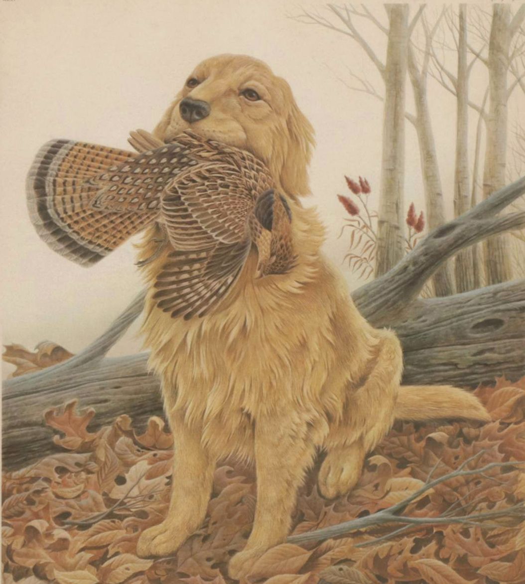 John Ruthven The Sporting Dog Series: "Dusty" Offset Lithograph, 1979
