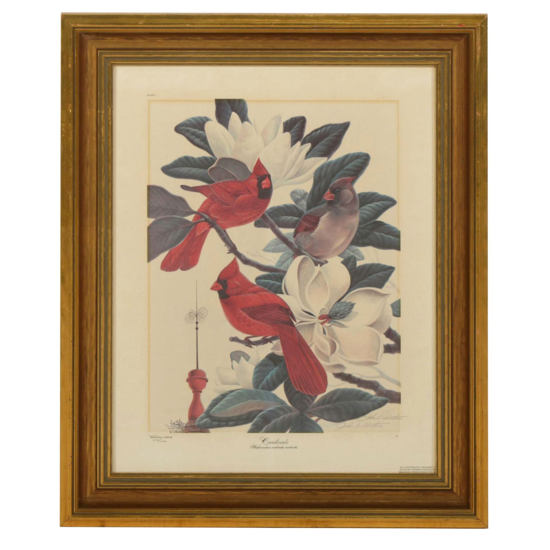 John Ruthven Williamsburg Series: "Cardinals" Offset Lithograph, 1970