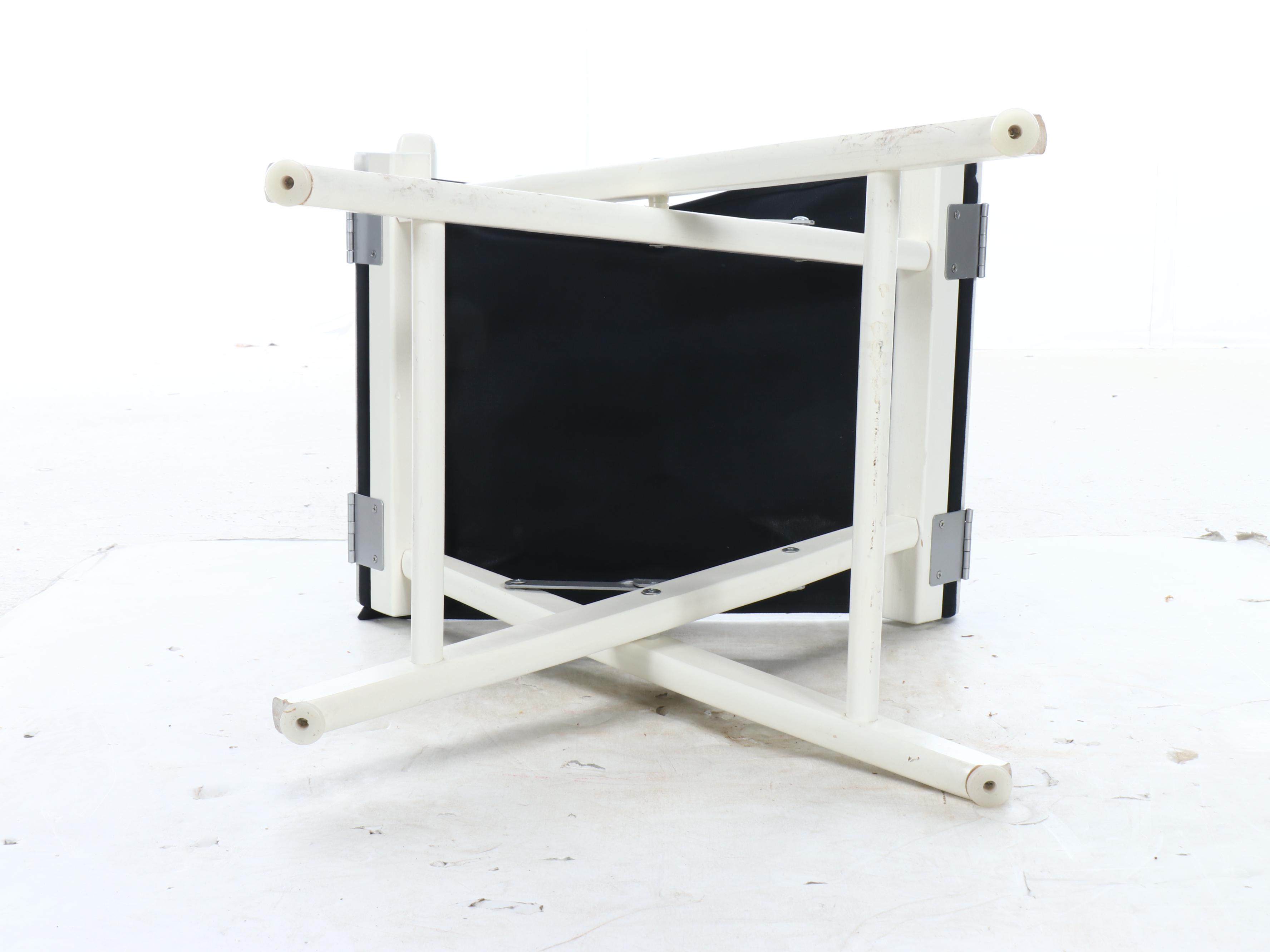 Contemporary Painted Wood Director's Chair