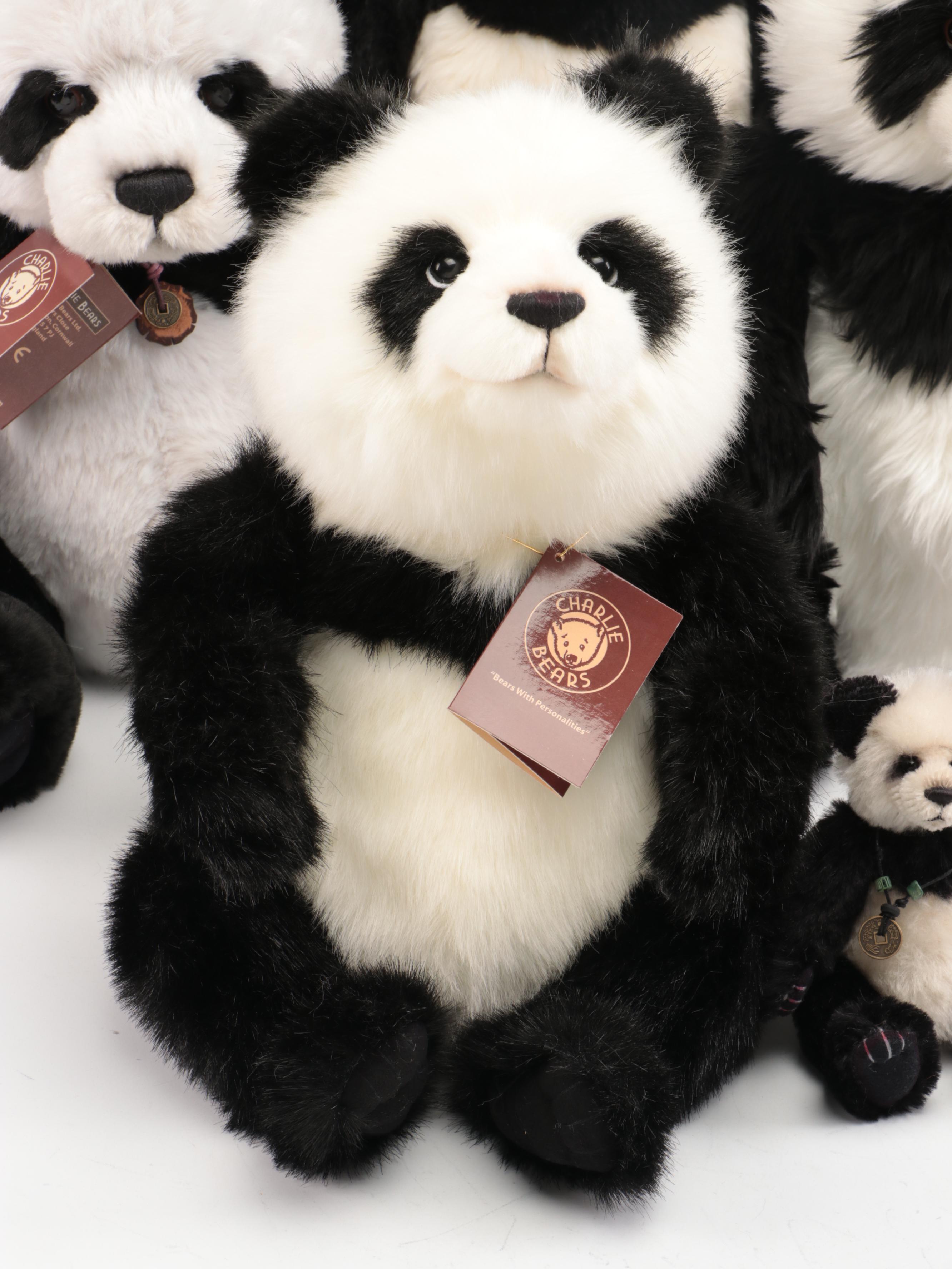 Charlie Bears "Fenella & Faith" with Other Stuffed Panda Bears