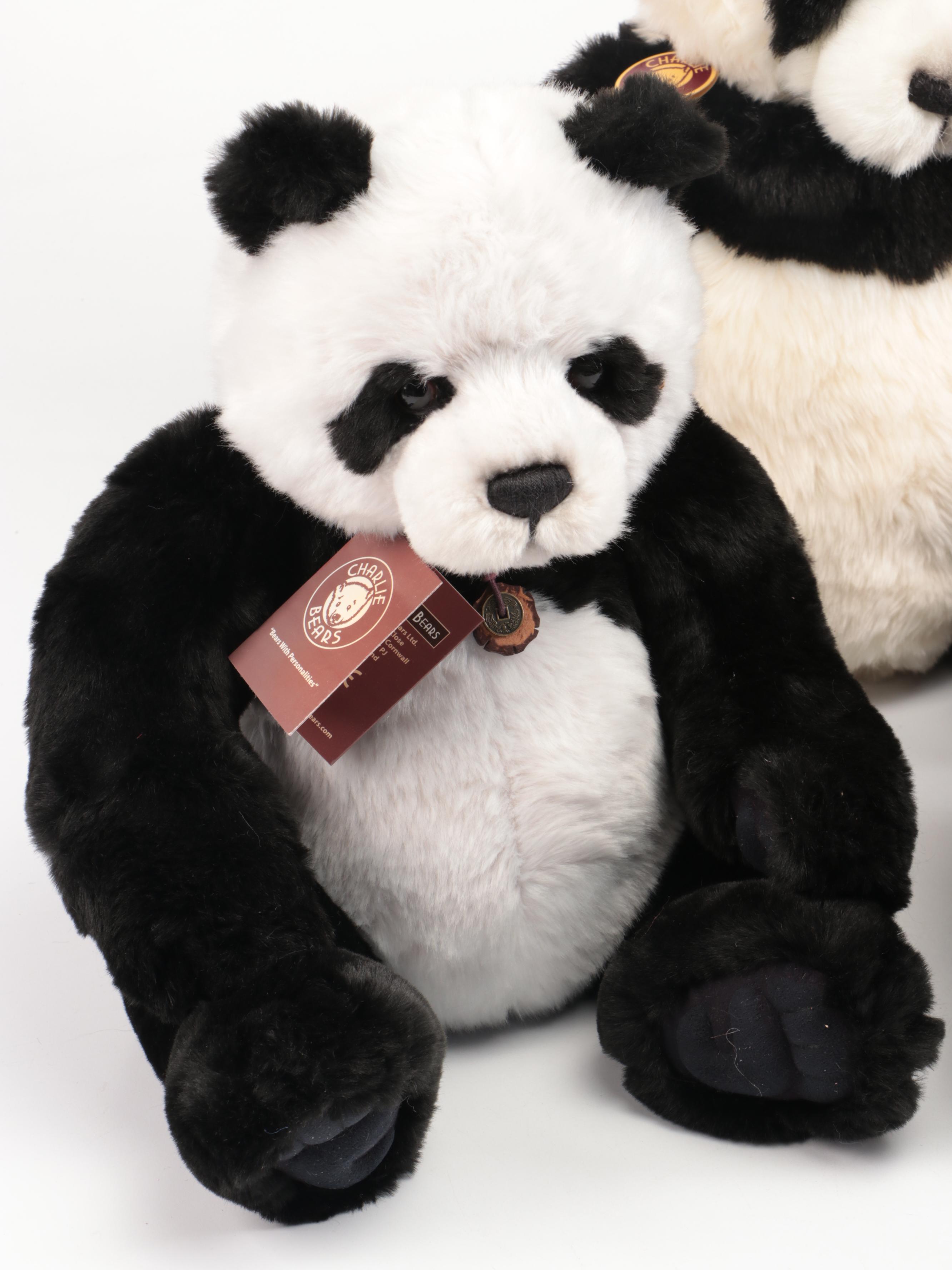 Charlie Bears "Fenella & Faith" with Other Stuffed Panda Bears