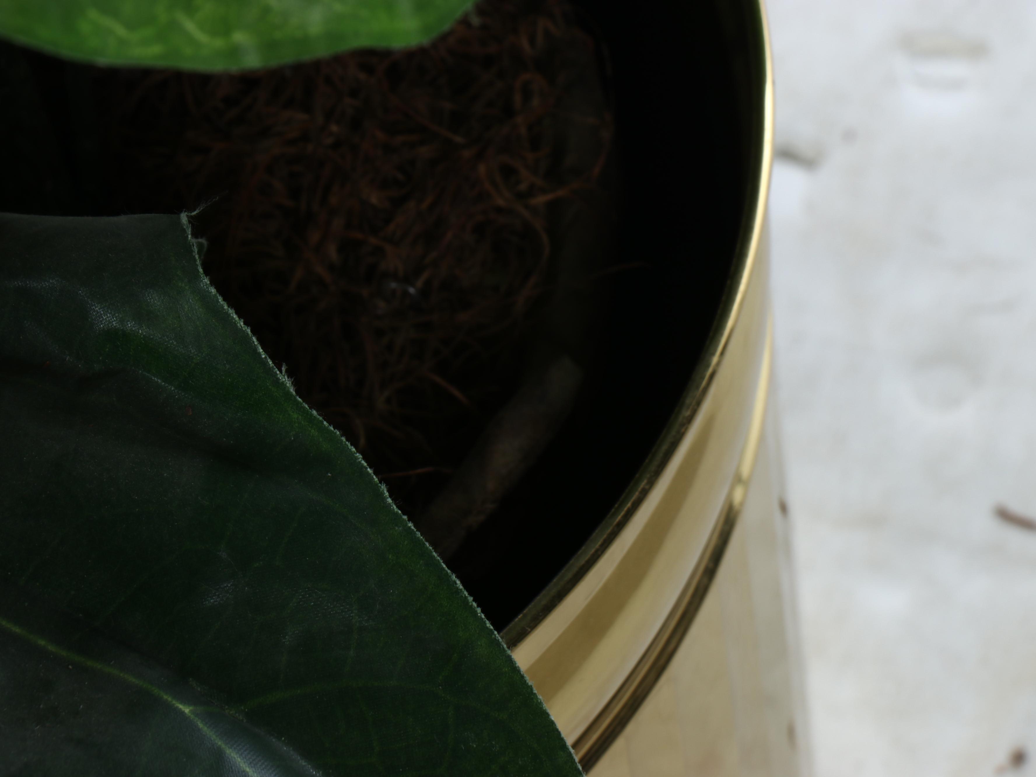 Artificial Fiddle Leaf Fig Plant