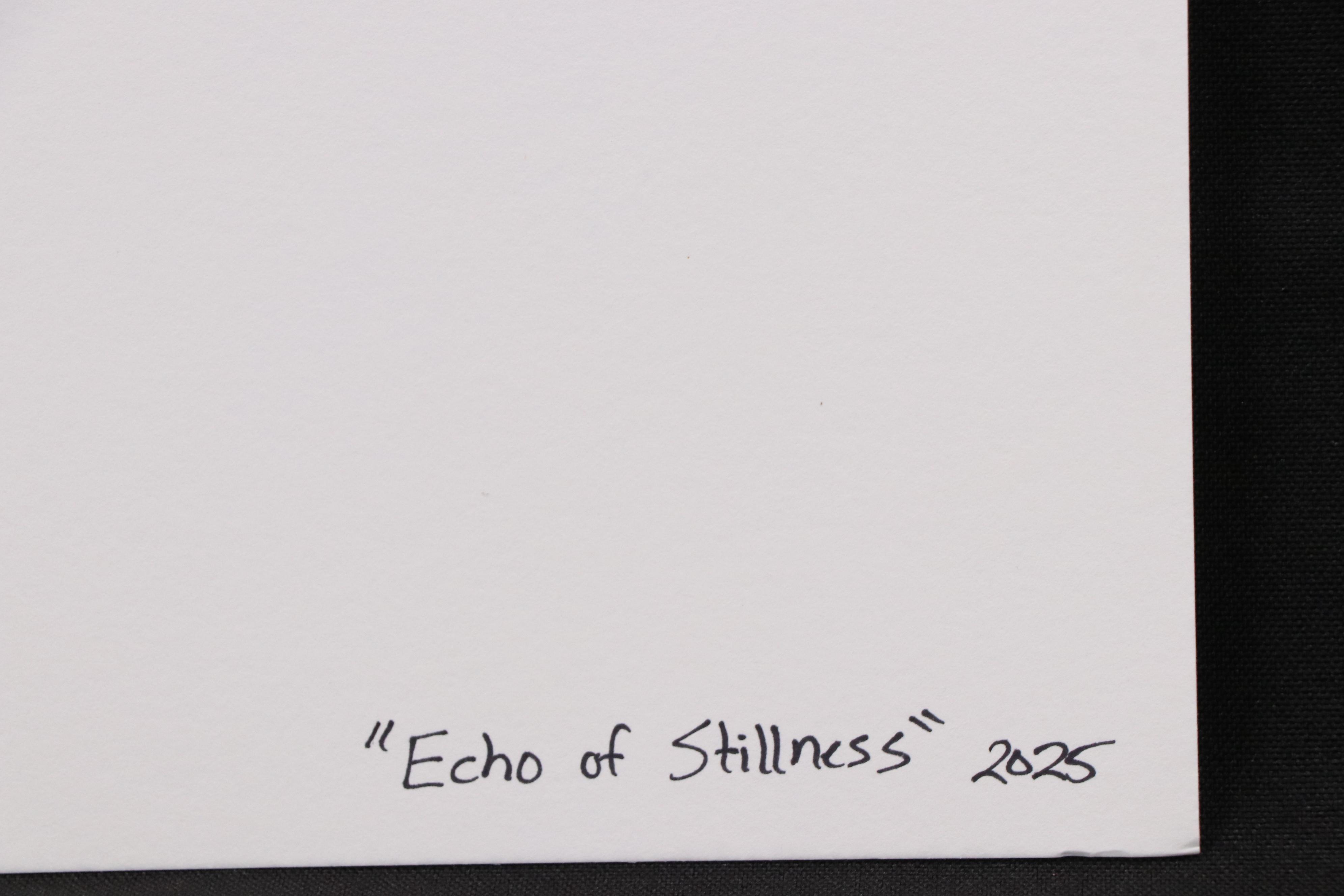 deSanto Stylized Figural Ink Drawing "Echo of Stillness," 2025
