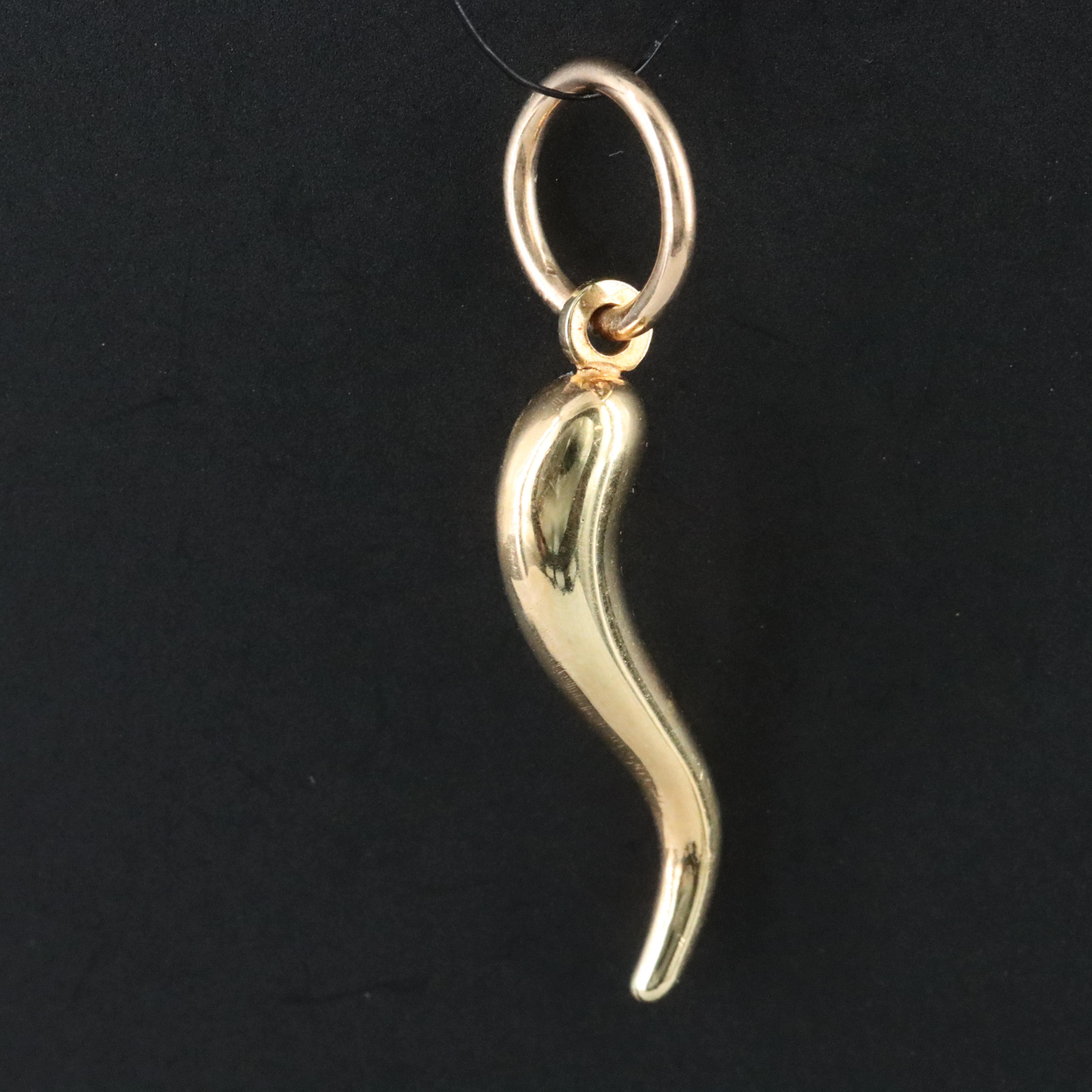 14K Cornicello Charm Pendant