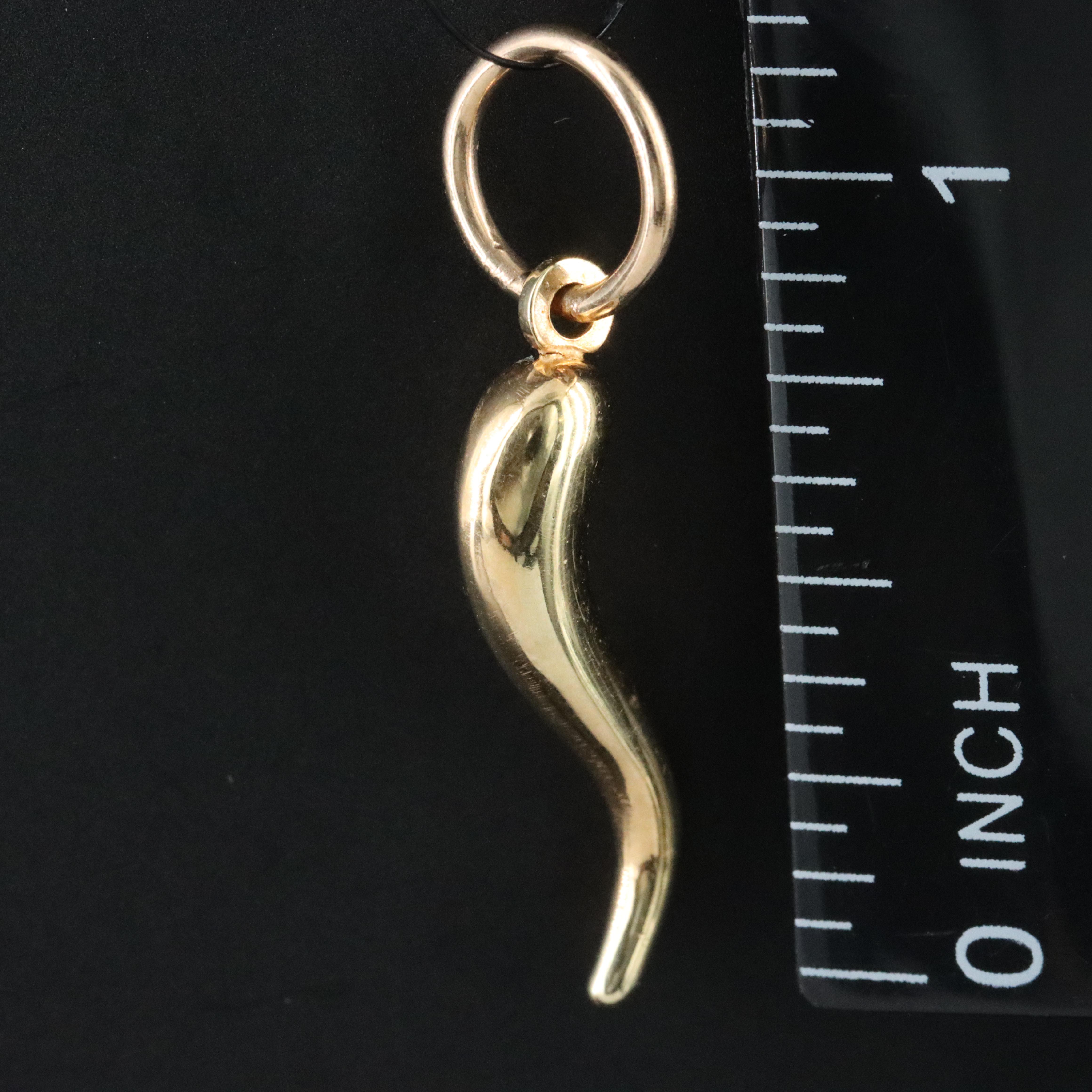 14K Cornicello Charm Pendant