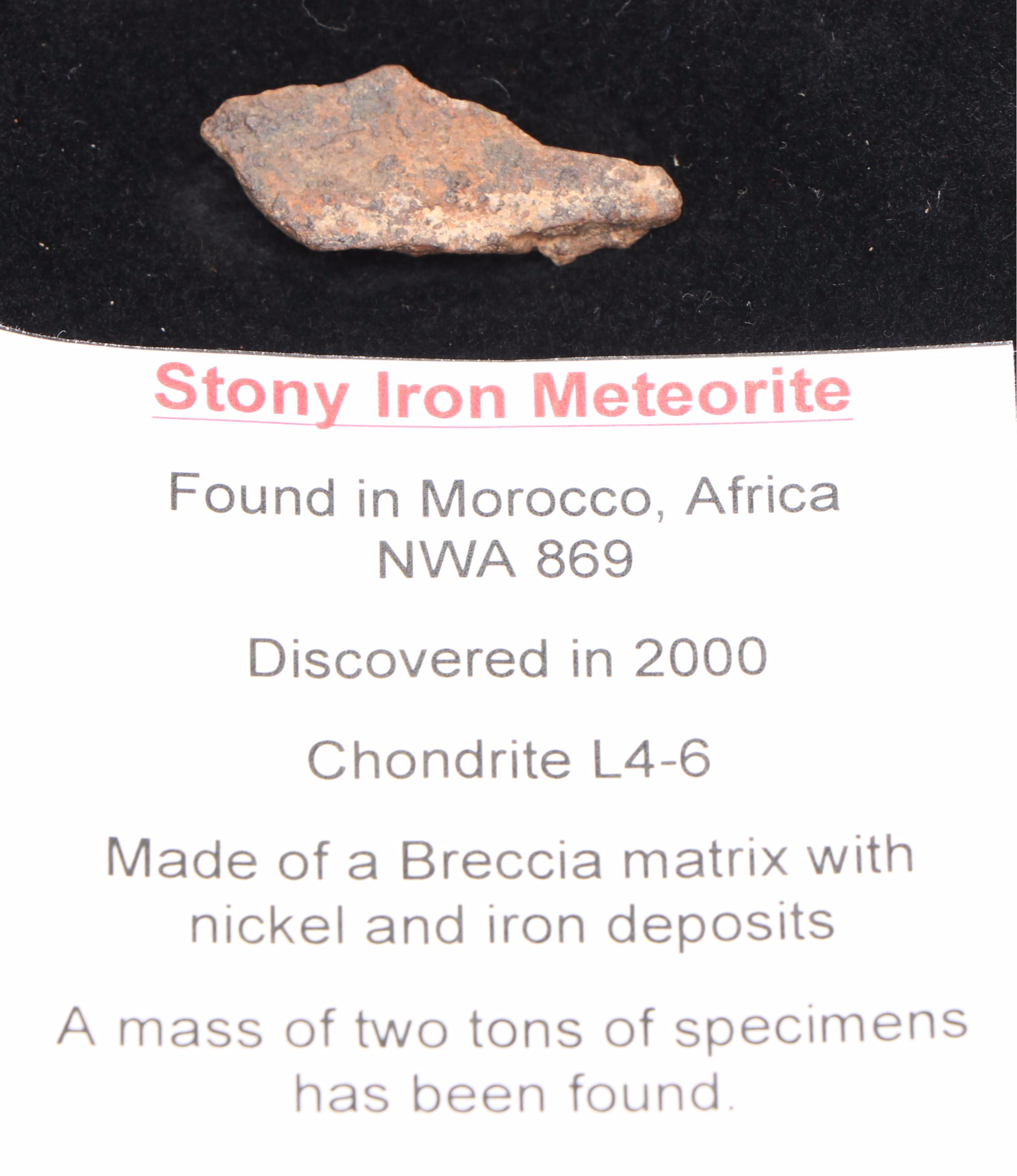 Campo Del Cielo and Moroccan Meteorite Fragments