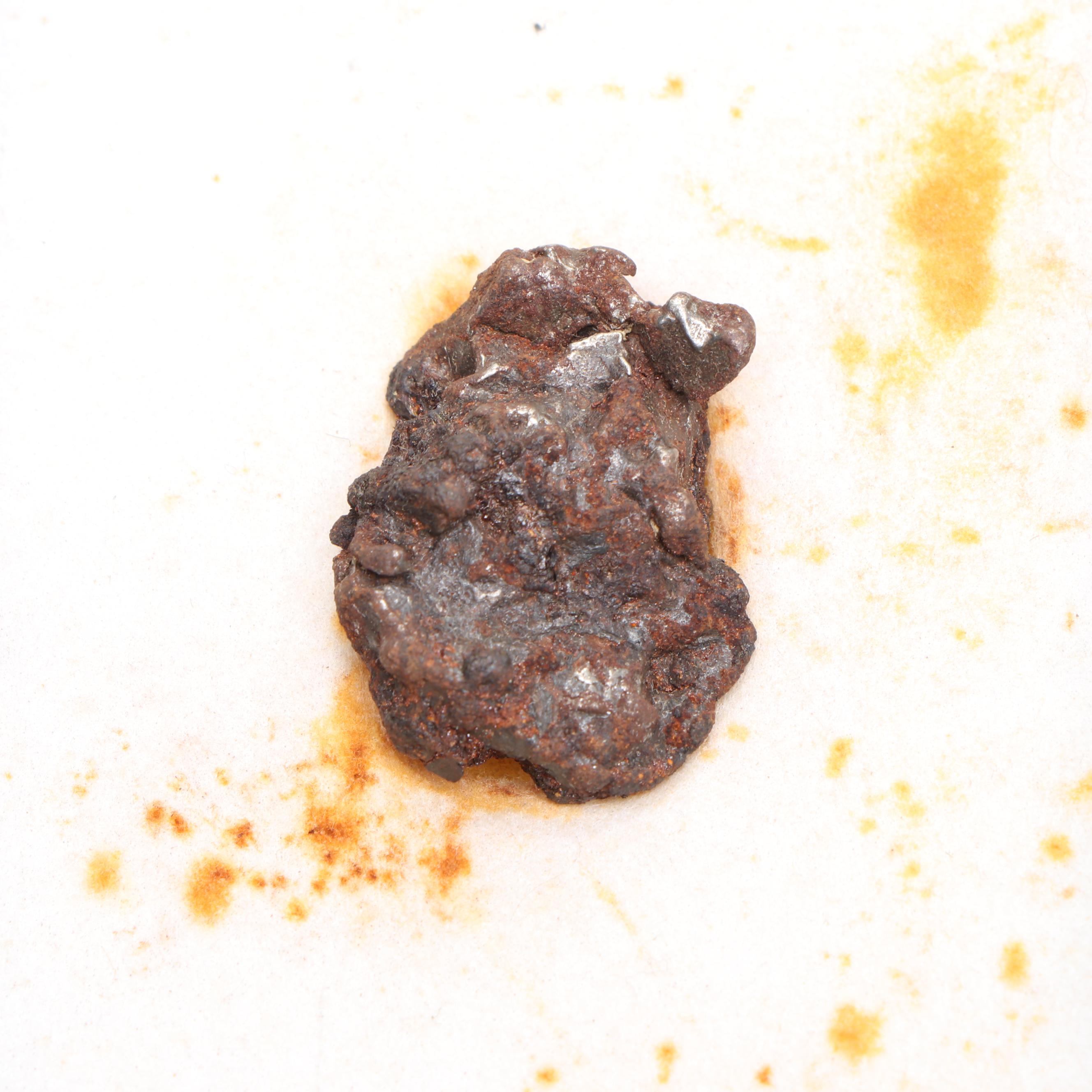 Campo Del Cielo and Moroccan Meteorite Fragments