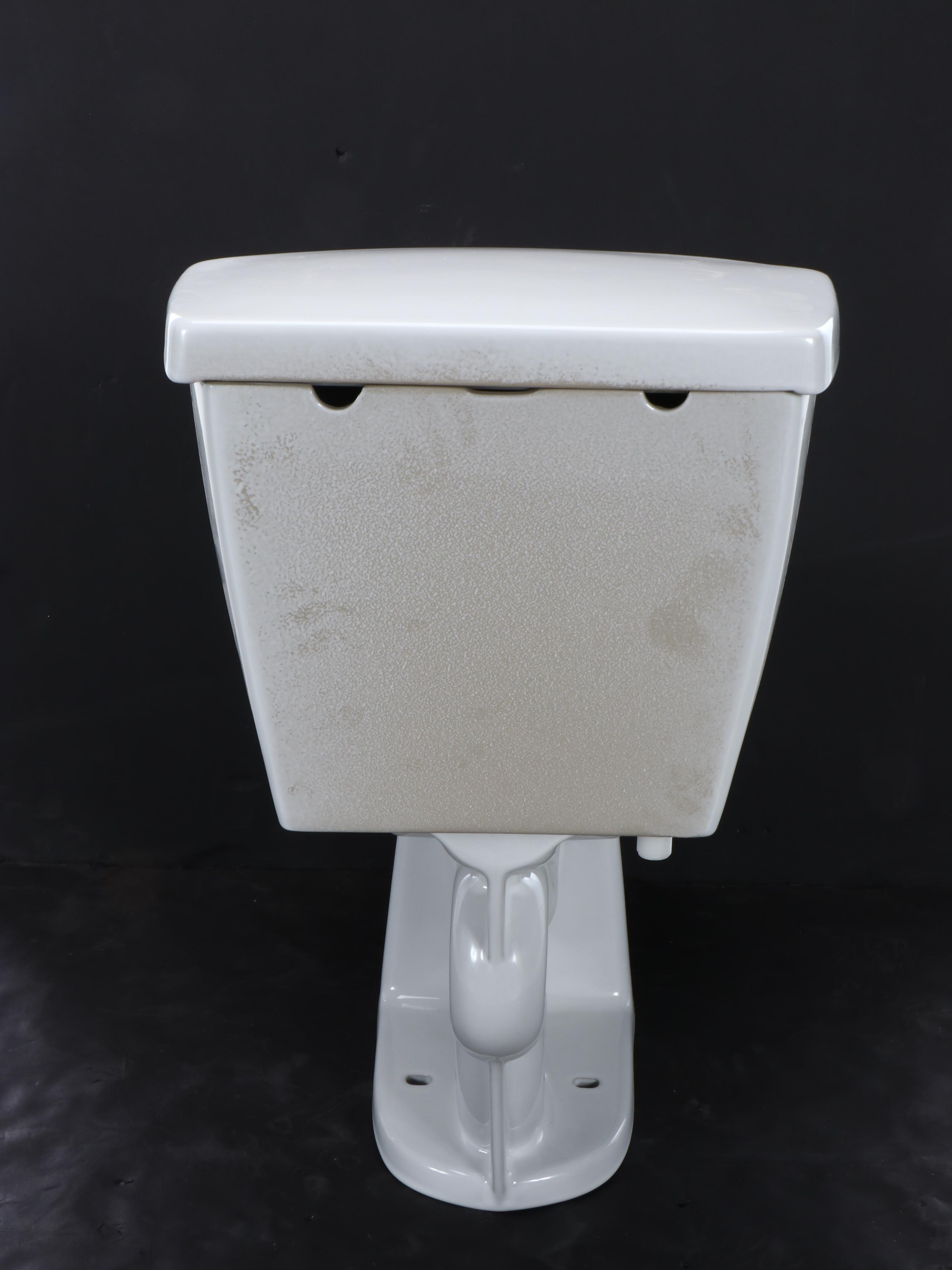 White Porcelain Toilet