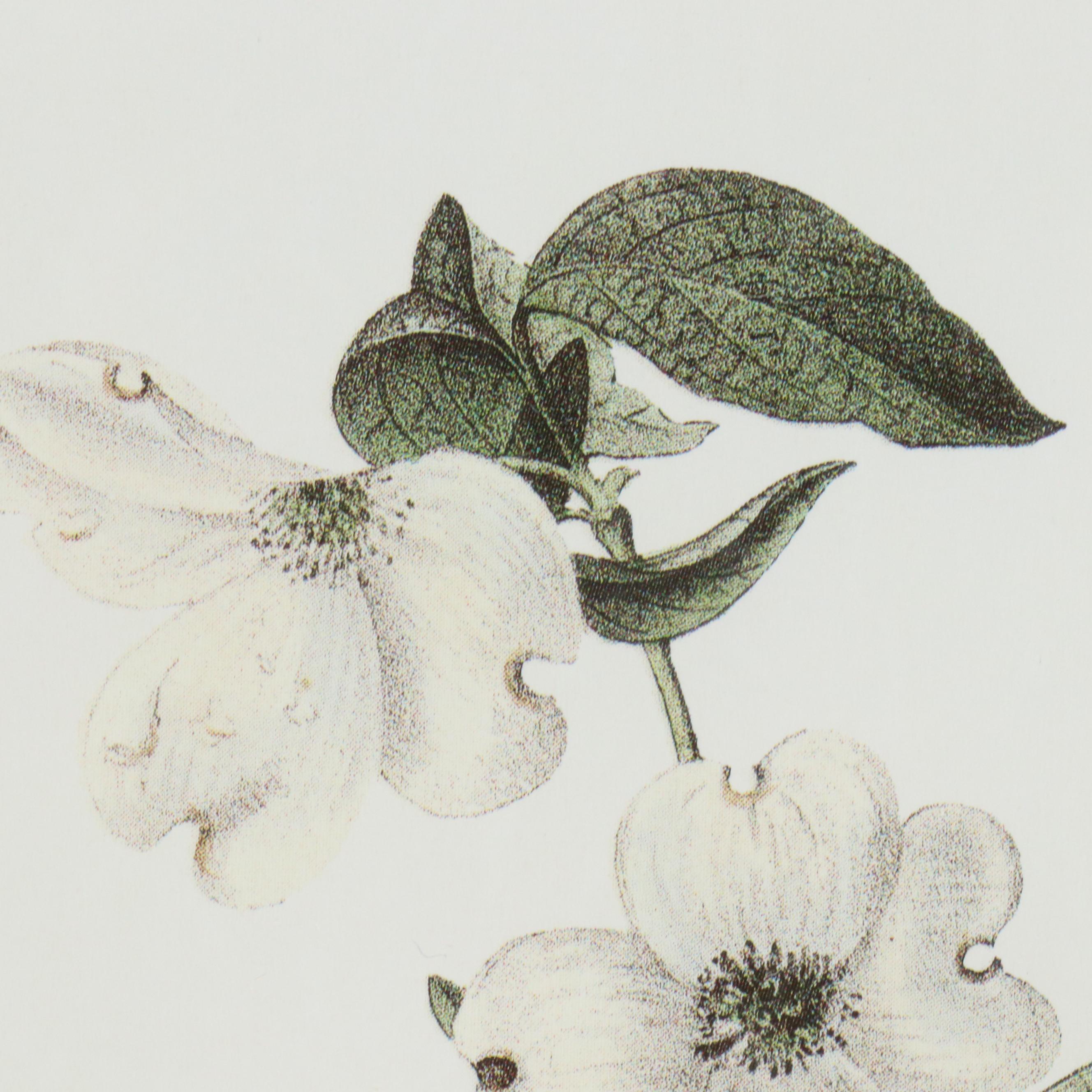 Orinthological Offset Lithographs After J.J. Audubon "Painted Bunting" and More