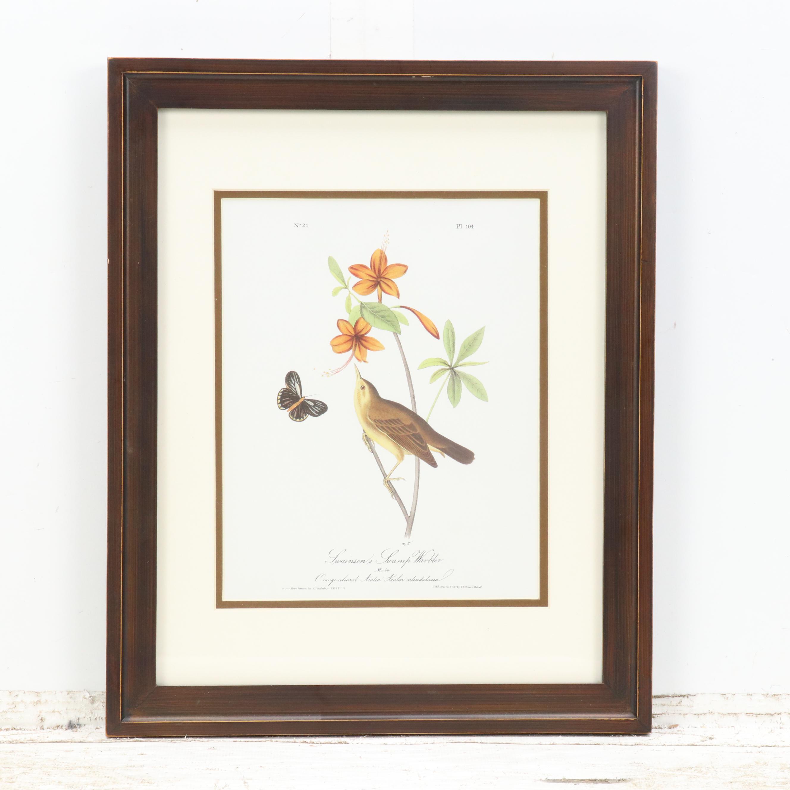 Orinthological Offset Lithographs After J.J. Audubon "Painted Bunting" and More