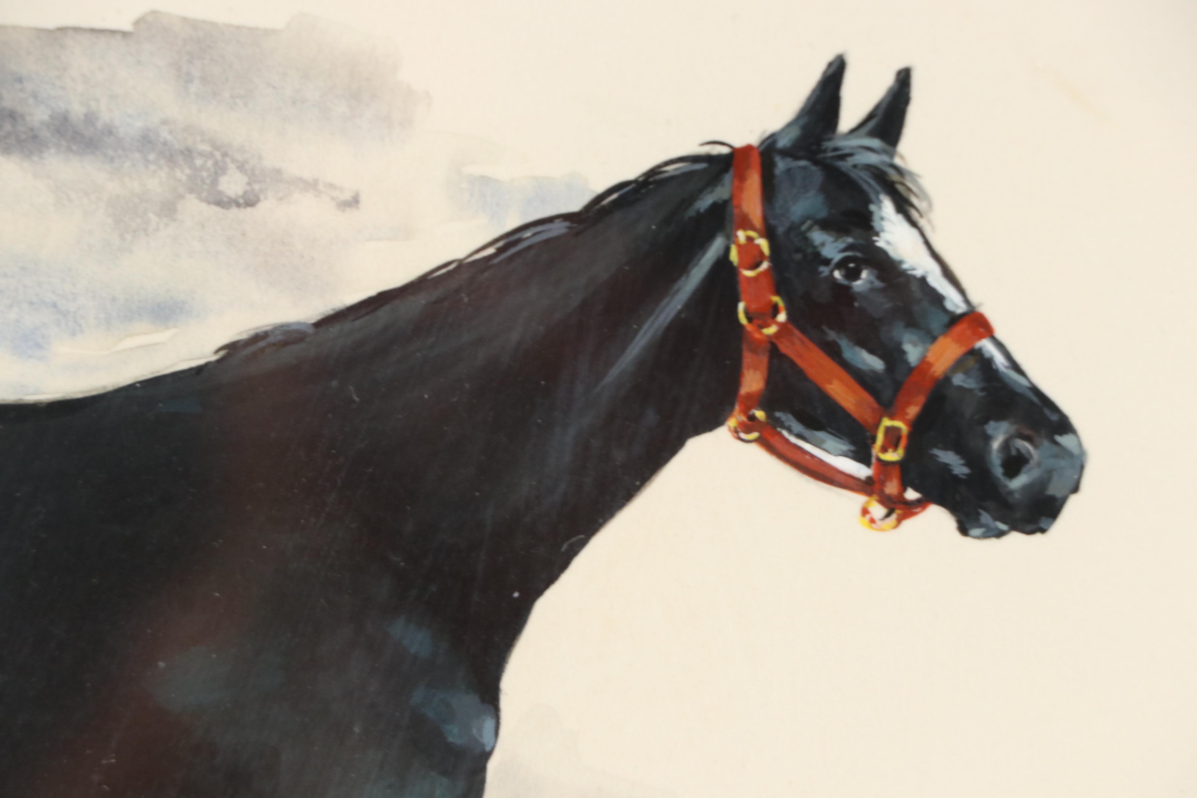 Thien Watercolor Horse Portrait