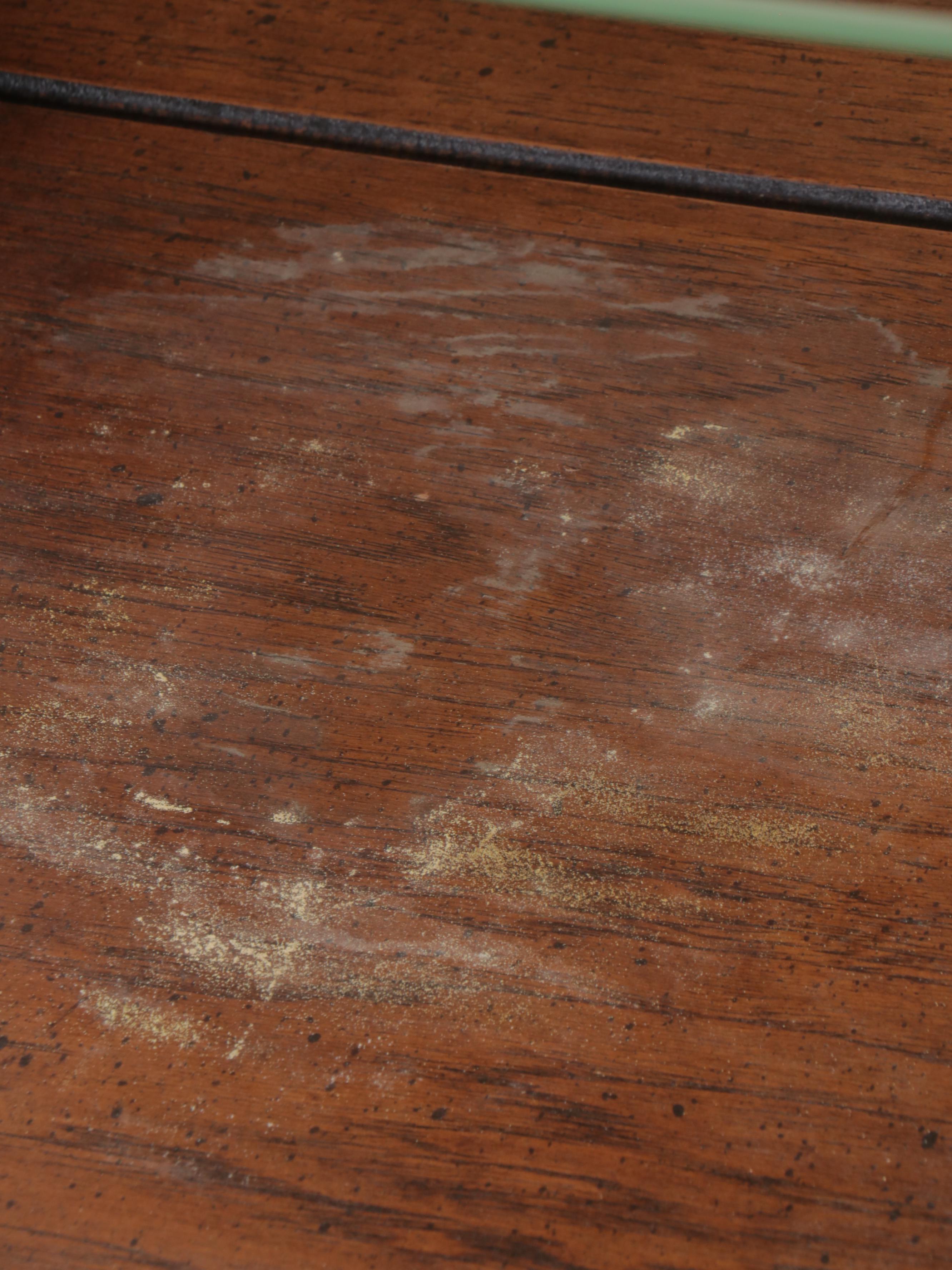 Traditional Illuminated Walnut Display Cabinet