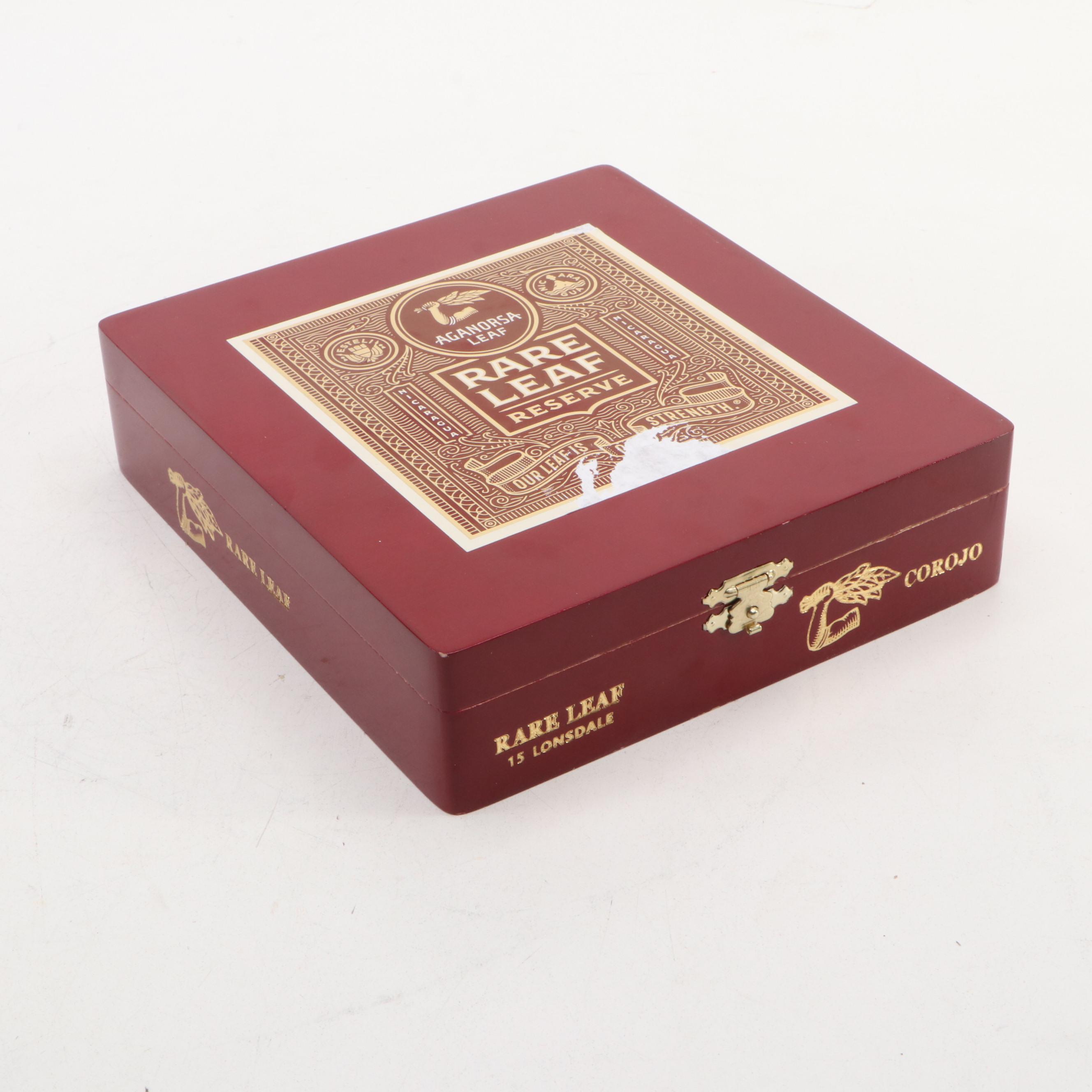 Megalodon Fossil Tooth Fragments and Other Shark Teeth