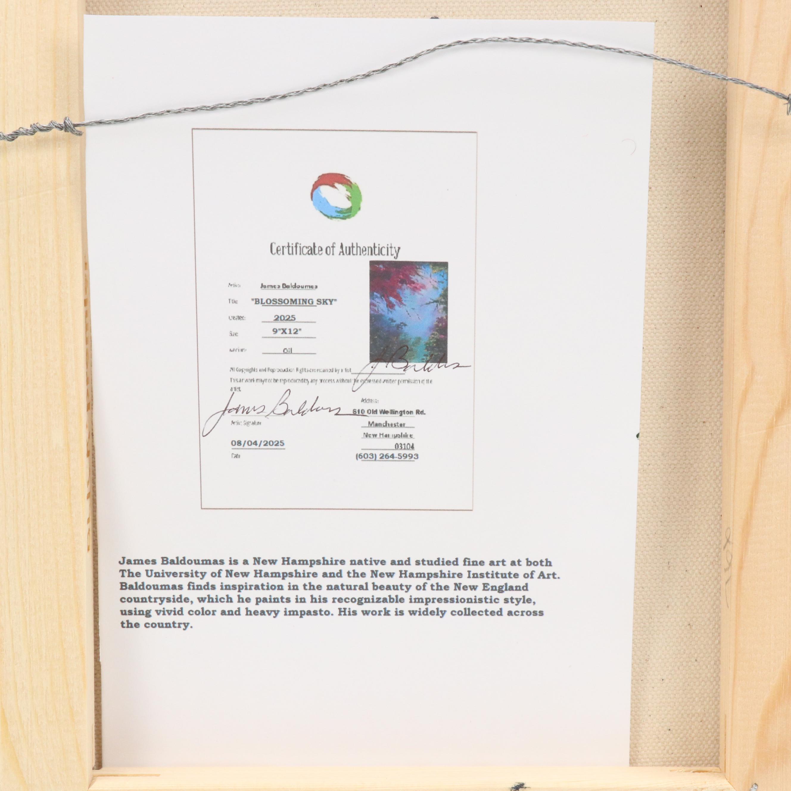 James Baldoumas Oil Painting "Blossoming Sky," 2025