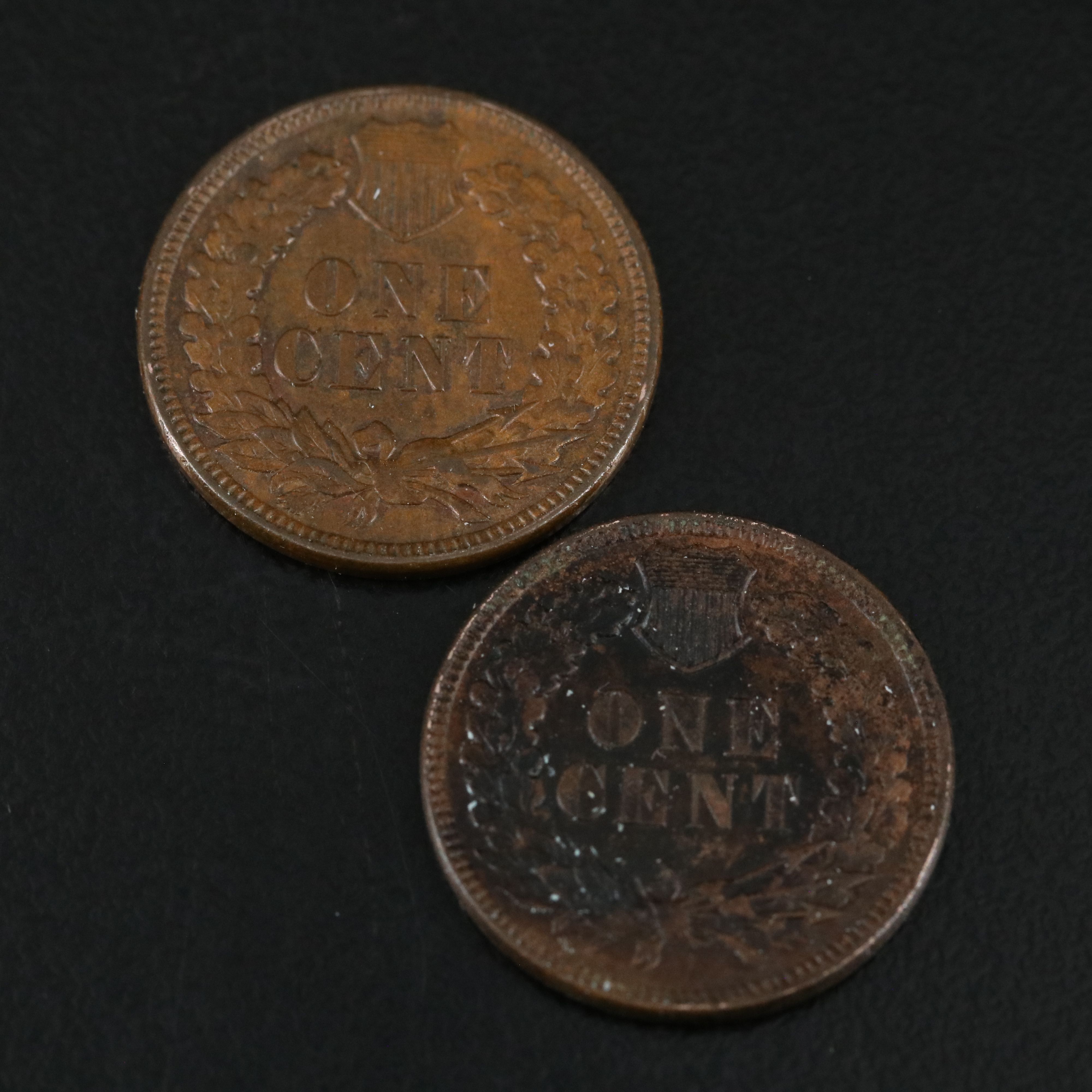 Four Different Indian Cents Including 1895, 1898, 1900, and 1905