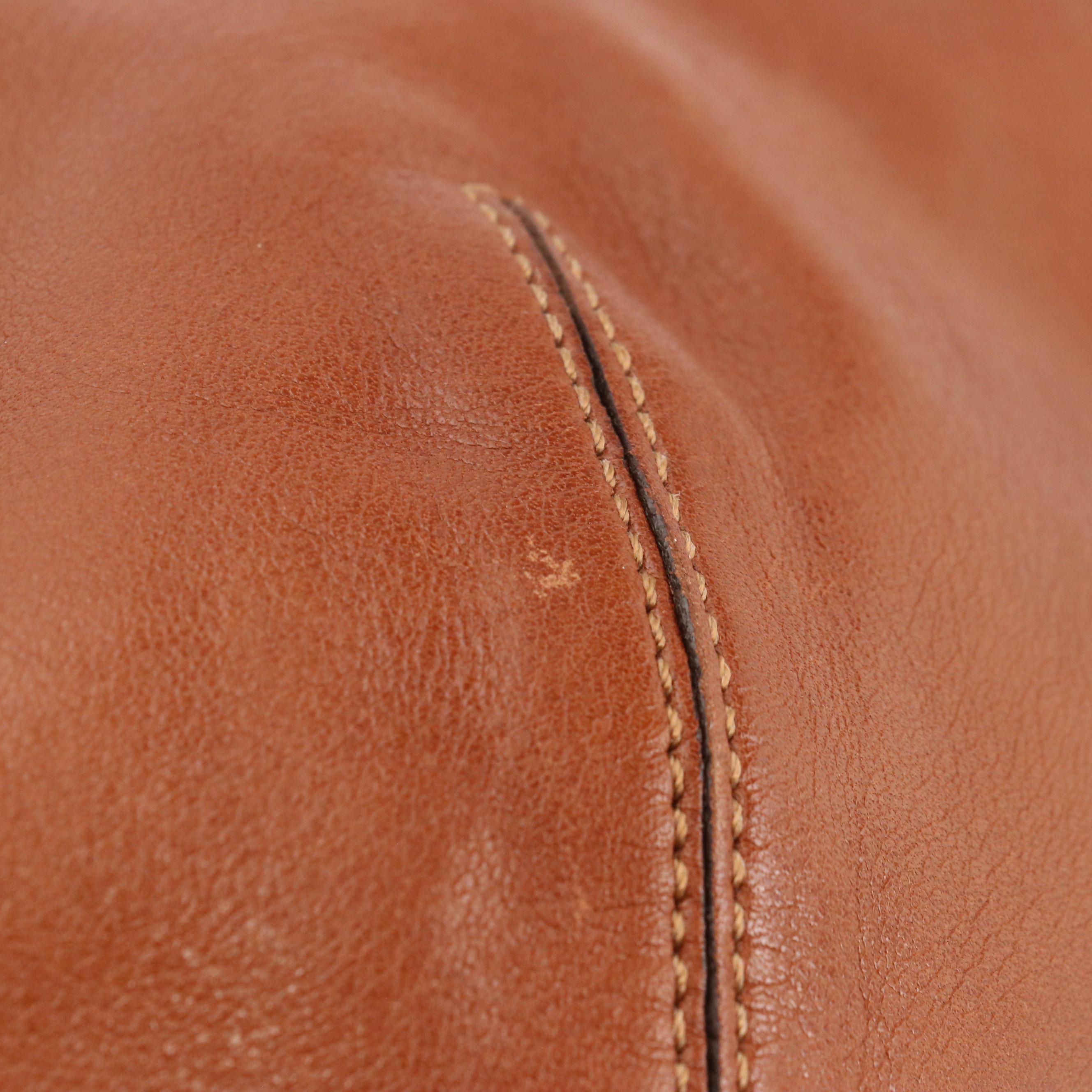 Coach Ergo Hobo Shoulder Bag in Caramel Brown Leather