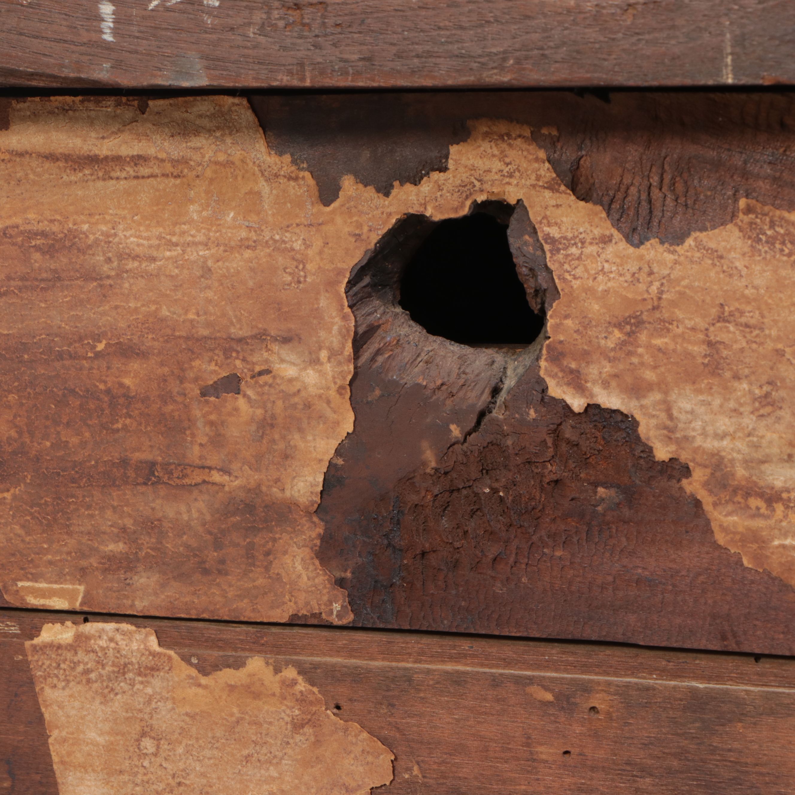Federal Style Walnut Chest of Drawers, Early 19th Century