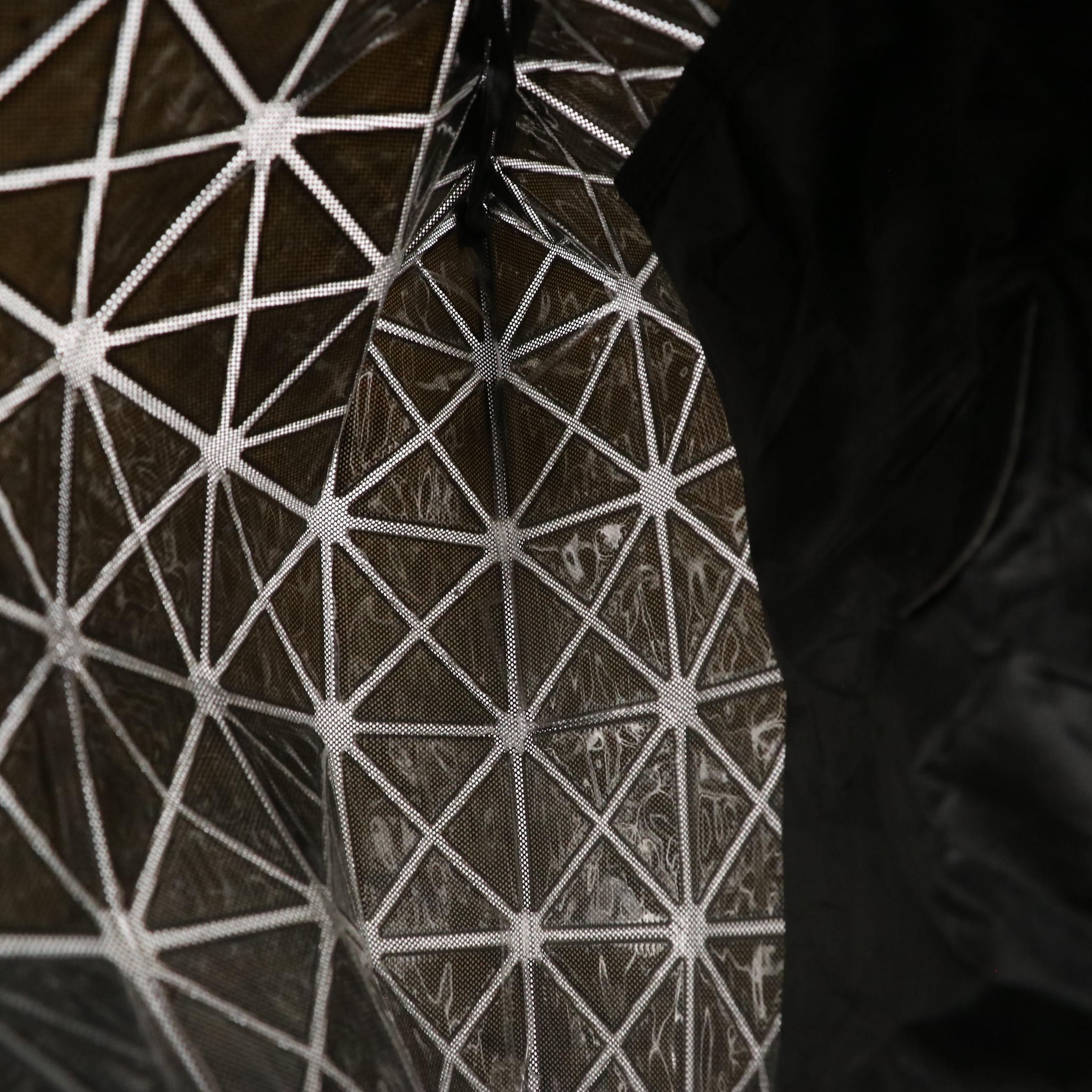 BAO BAO Issey Miyake Lucent Glossy Geo North-South Tote Bag